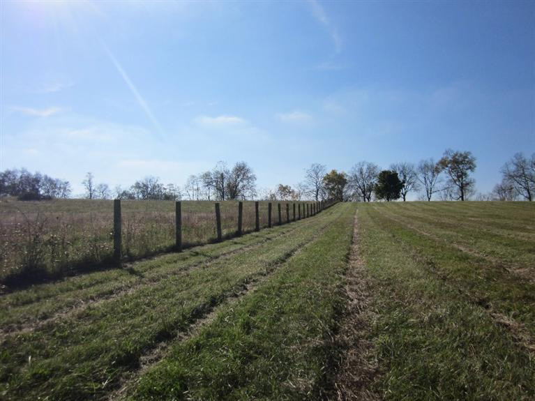 635 Donaldson Road Winchester, KY 40391 - Photo 9 of 42 Photo 9
