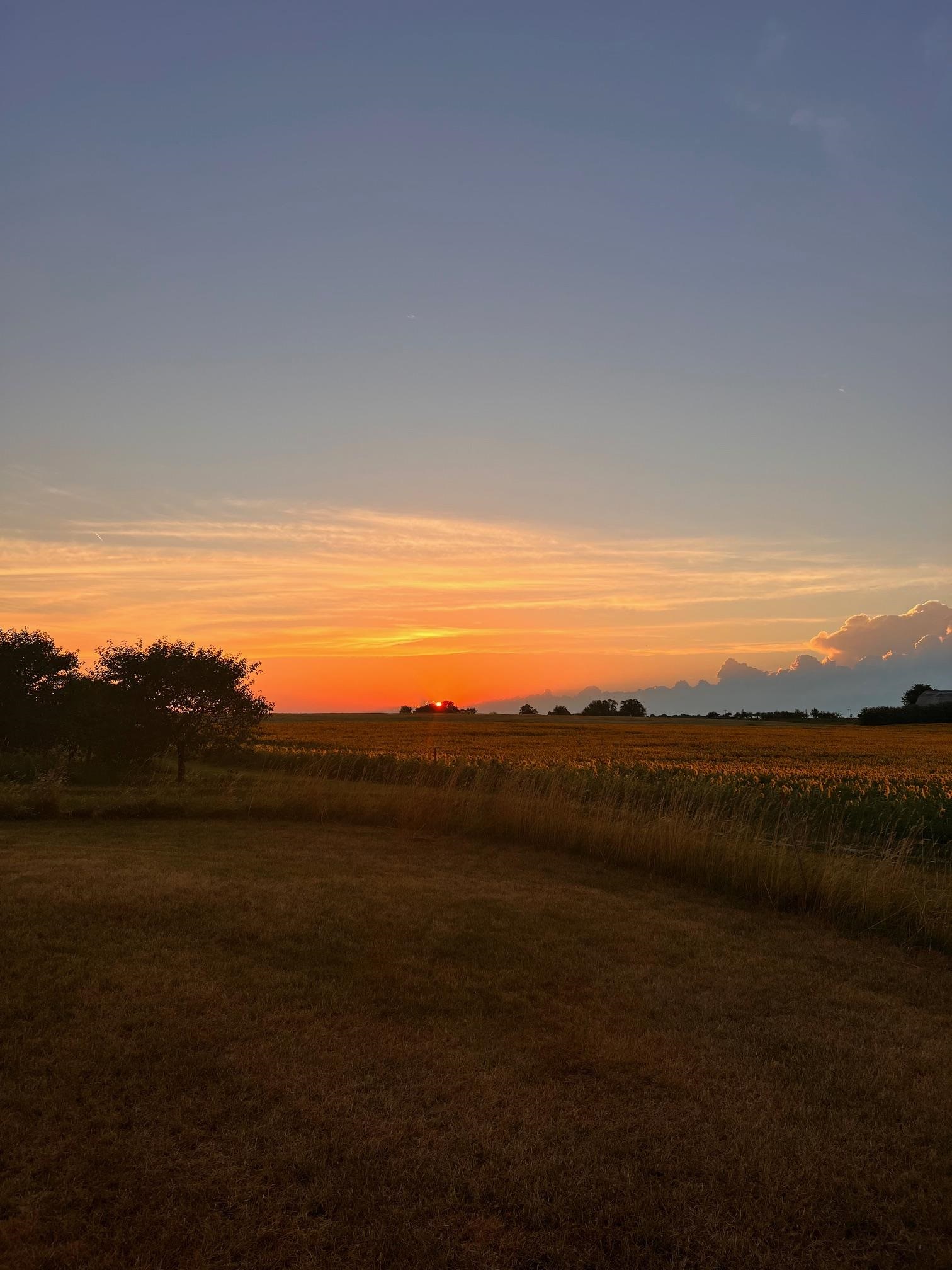 9741 Bates Road Williamsburg, MI 49690 - Photo 31 of 31 1925455-8a5c9adb-efec-41db-a23a-1f8b0a73d2ec.JPG