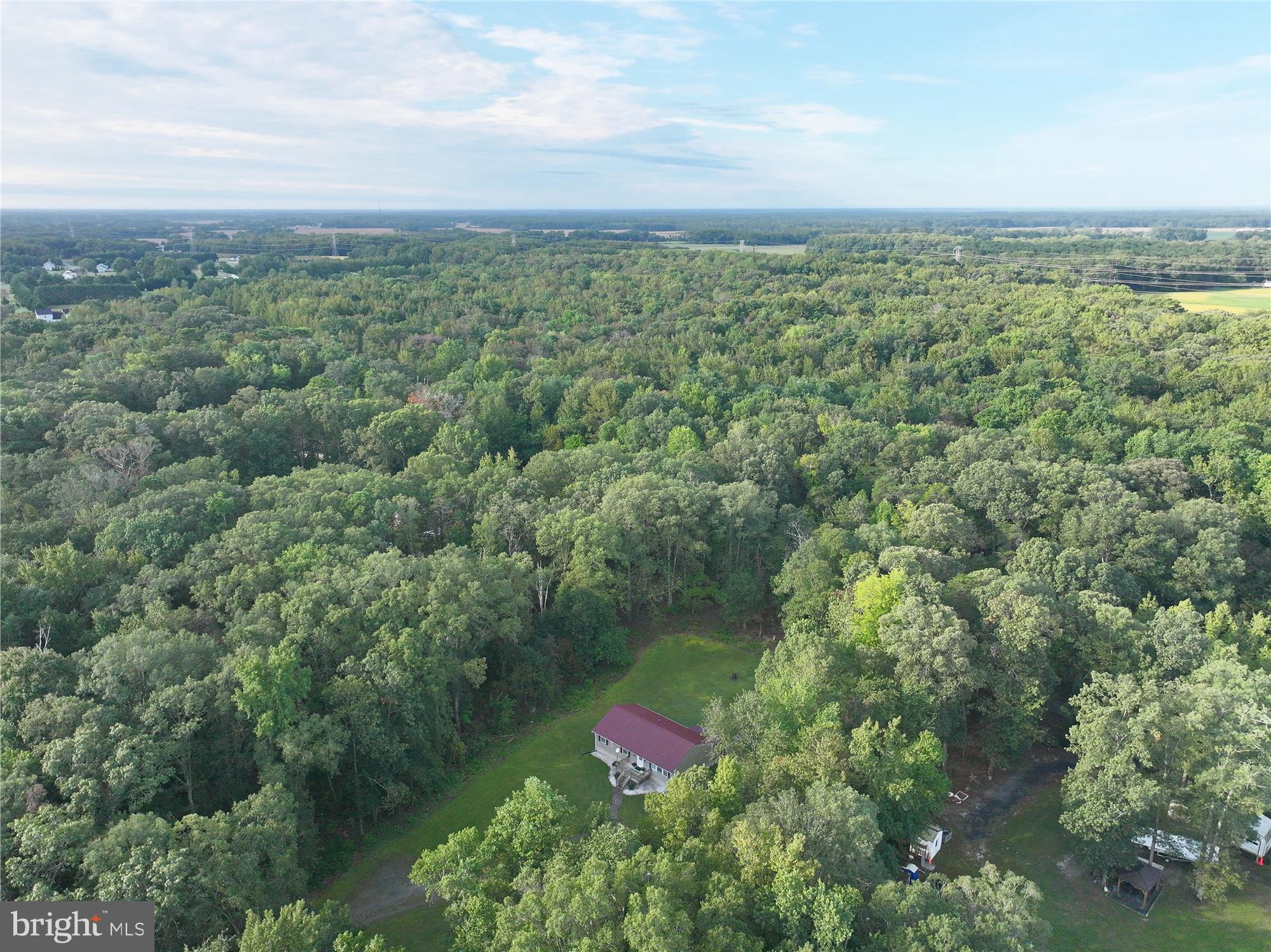 26623 Bee Tree Road Henderson, MD 21640 - Photo 2 of 33 an aerial view of residential houses with outdoor space and trees