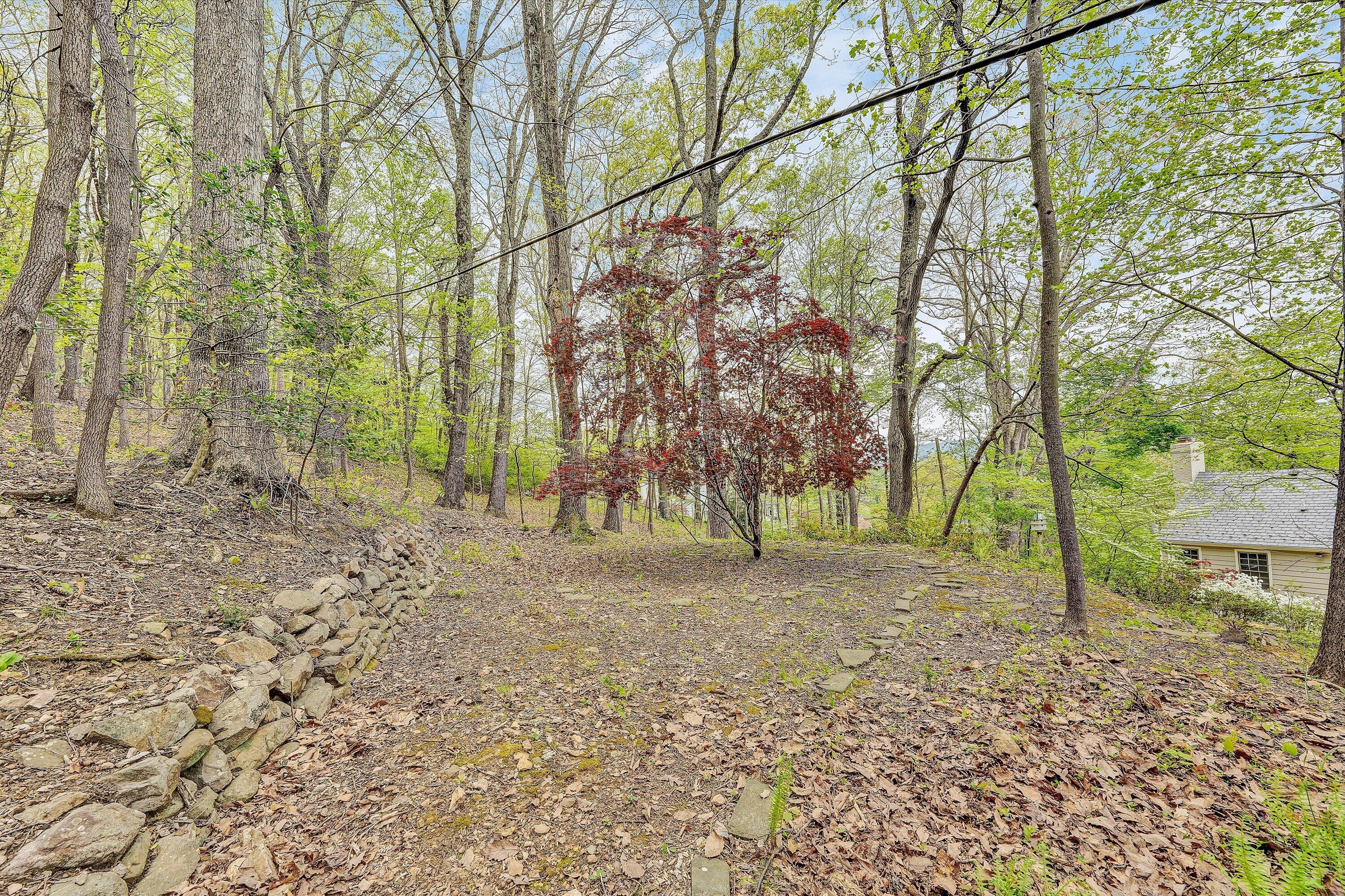 2438 Robin Hood Road Southeast Roanoke, VA 24014 - Photo 74 of 81 a view of a yard with a tree