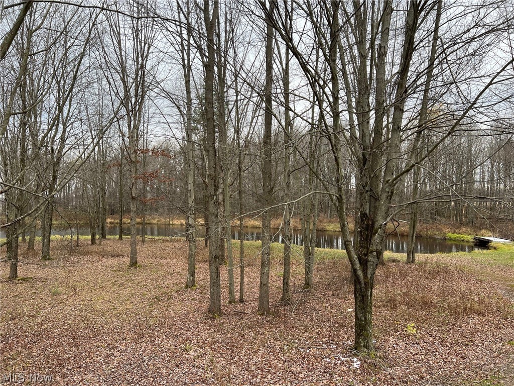 1570 Tische Road Jefferson, OH 44047 - Photo 29 of 35 Gallery Image 29