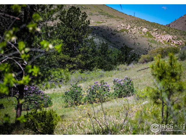 $999,900 | 0 Wild River Road, Bellvue, CO 80512