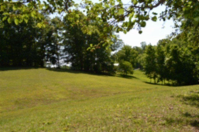 318 Rock Springs Road Celina, TN 38551 - Photo 45 of 87 a view of yard with swimming pool and green space
