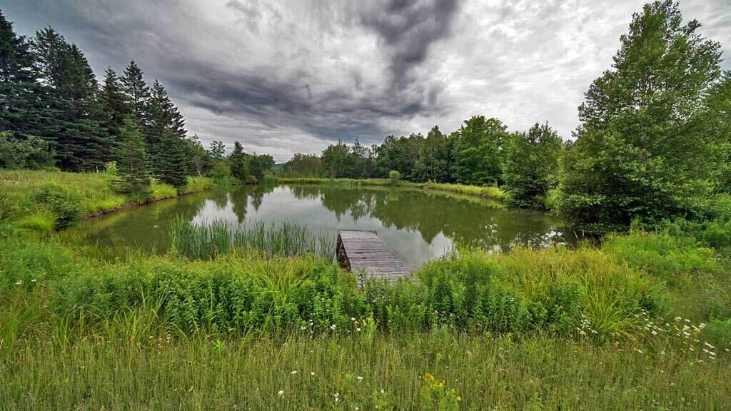 60 Smyrna Center Road Smyrna, ME 04780 - Photo 4 of 52 pond-land-60-smyrna-road