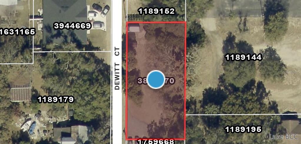 Dewitt Court Eustis, FL 32726 - Photo 3 of 8
