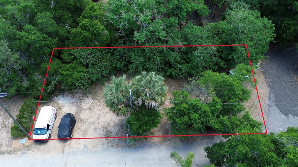Dewitt Court Eustis, FL 32726 - Photo 8 of 8 an aerial view of a house with a yard and large trees