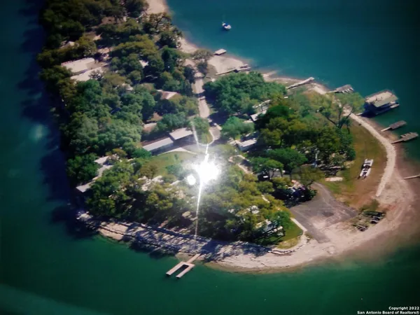 a picture of flowers