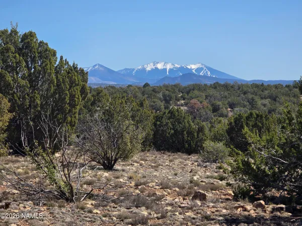 $22,000 | 8299 West Clear Fork Loop, Williams, AZ 86046