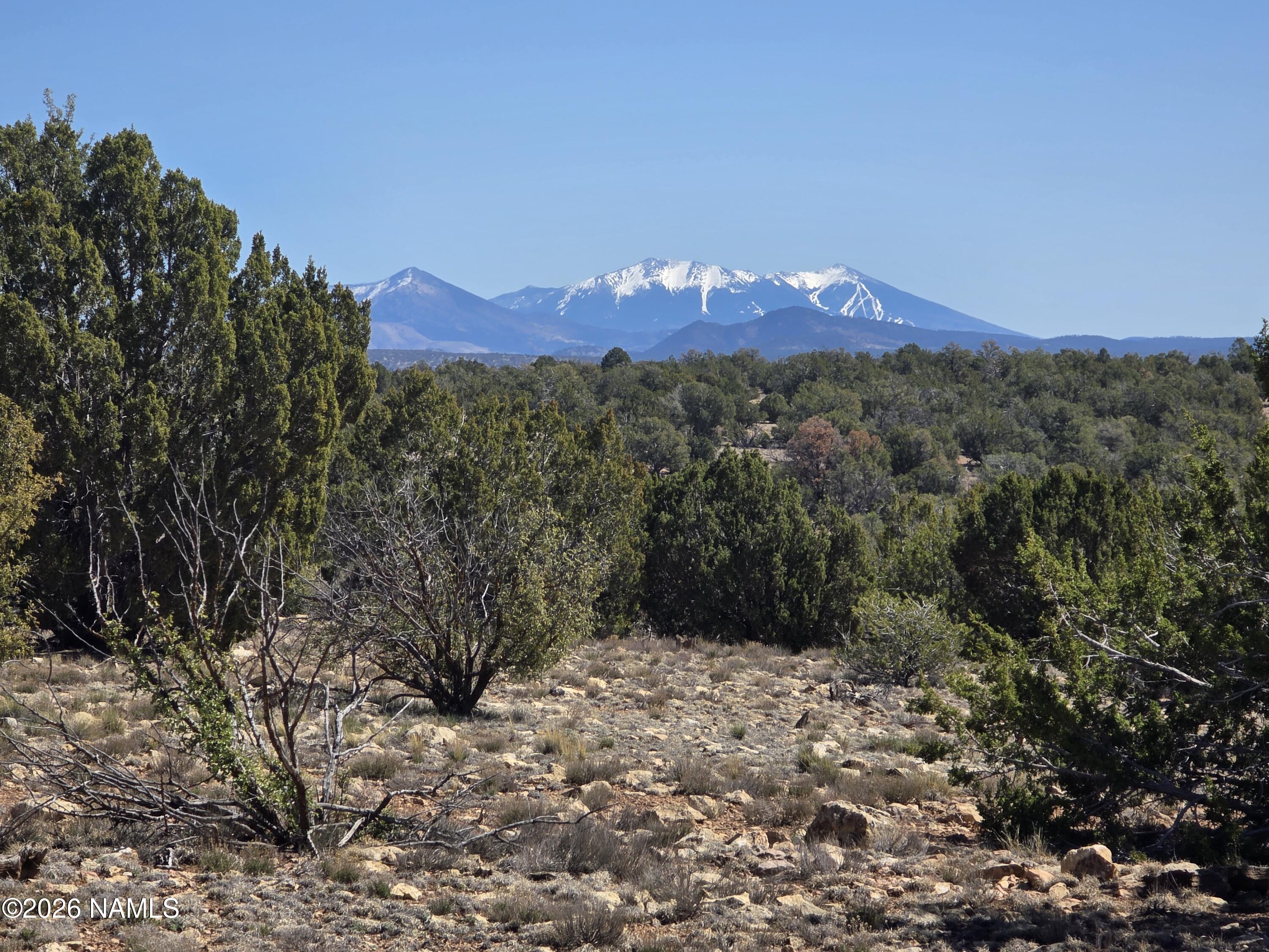 8299 West Clear Fork Loop Williams, AZ 86046 - Photo 1 of 27 1000060653