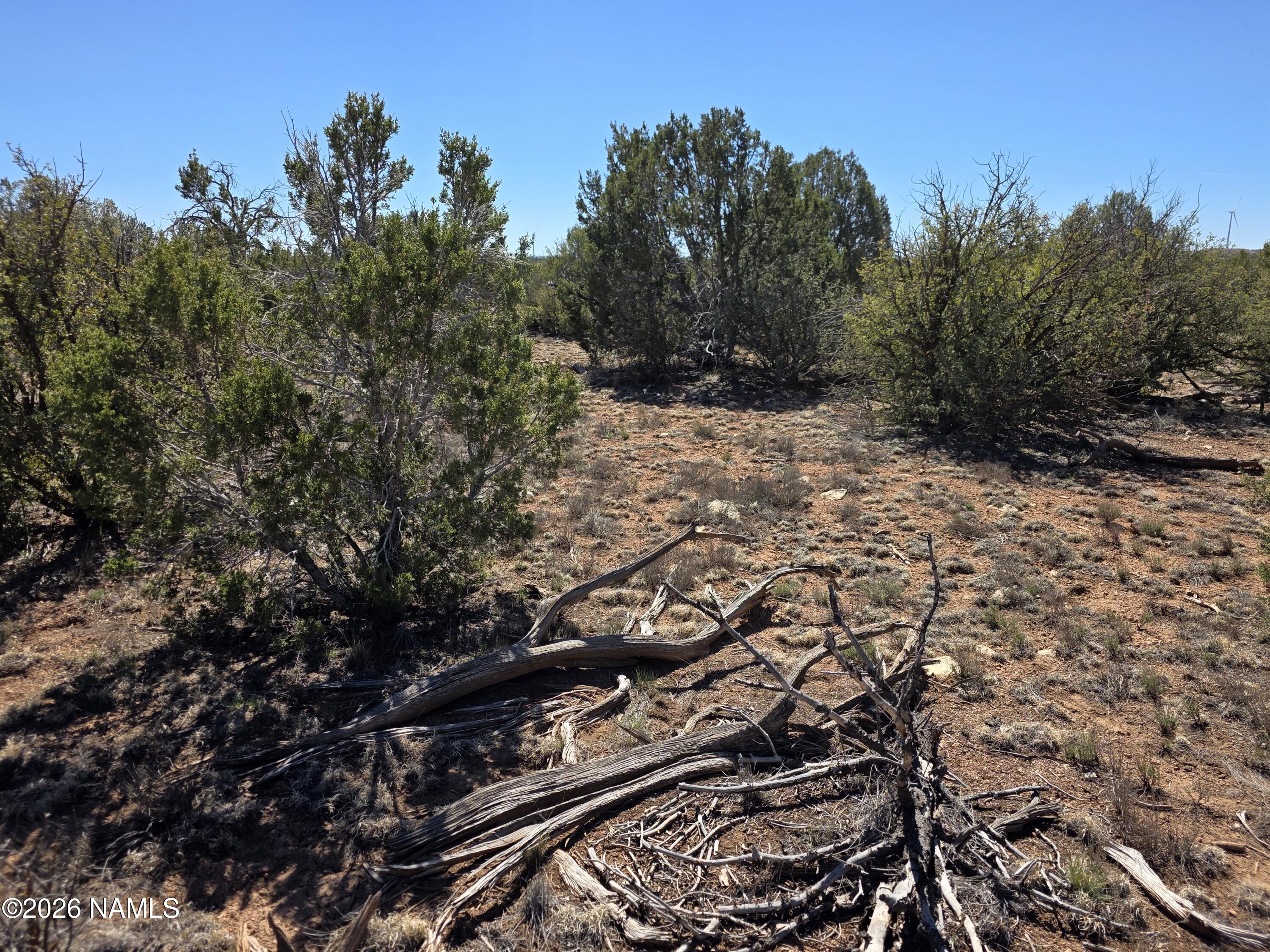 8299 West Clear Fork Loop Williams, AZ 86046 - Photo 11 of 27 1000060646