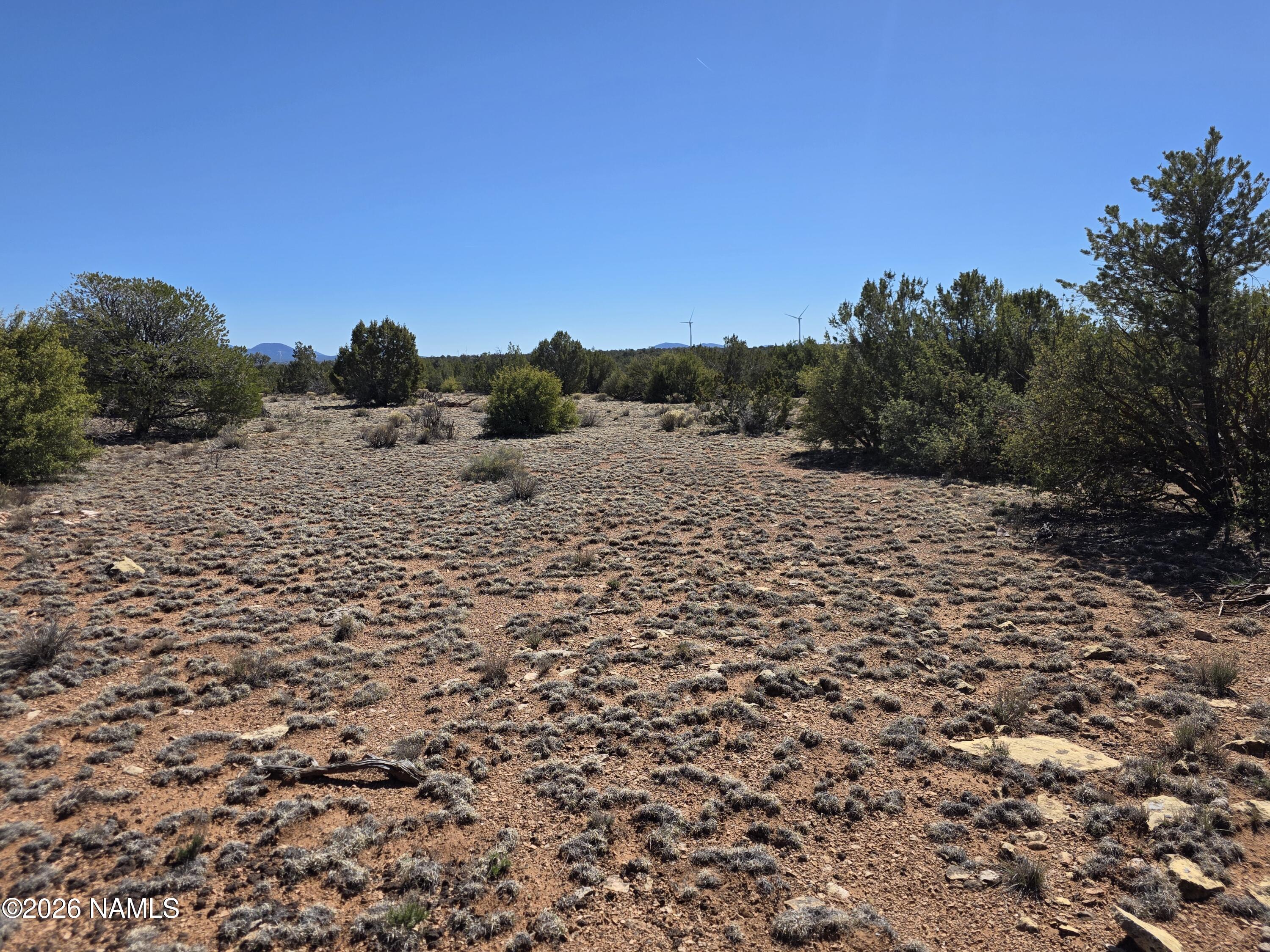 8299 West Clear Fork Loop Williams, AZ 86046 - Photo 12 of 27 1000060647