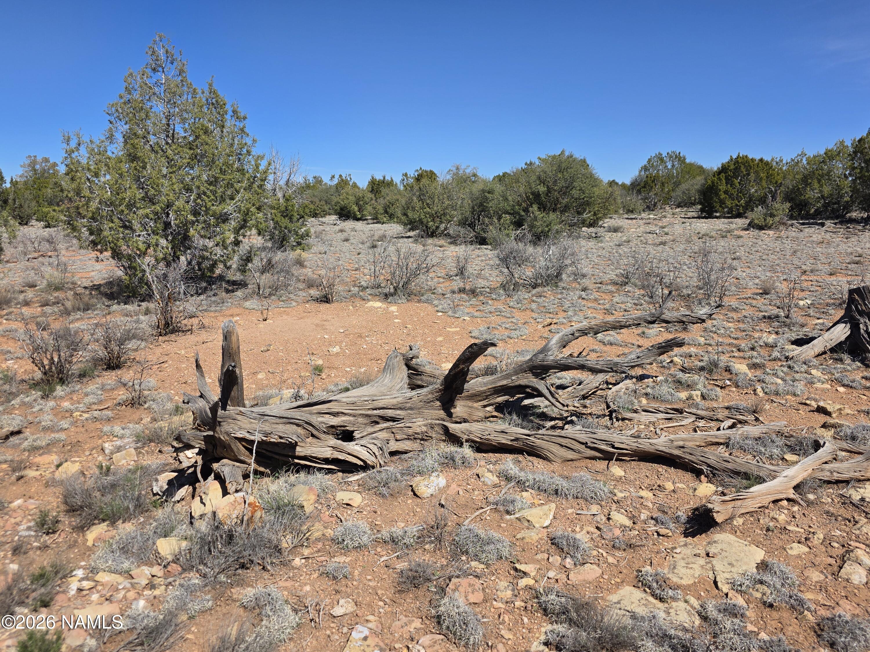 8299 West Clear Fork Loop Williams, AZ 86046 - Photo 13 of 27 1000060645