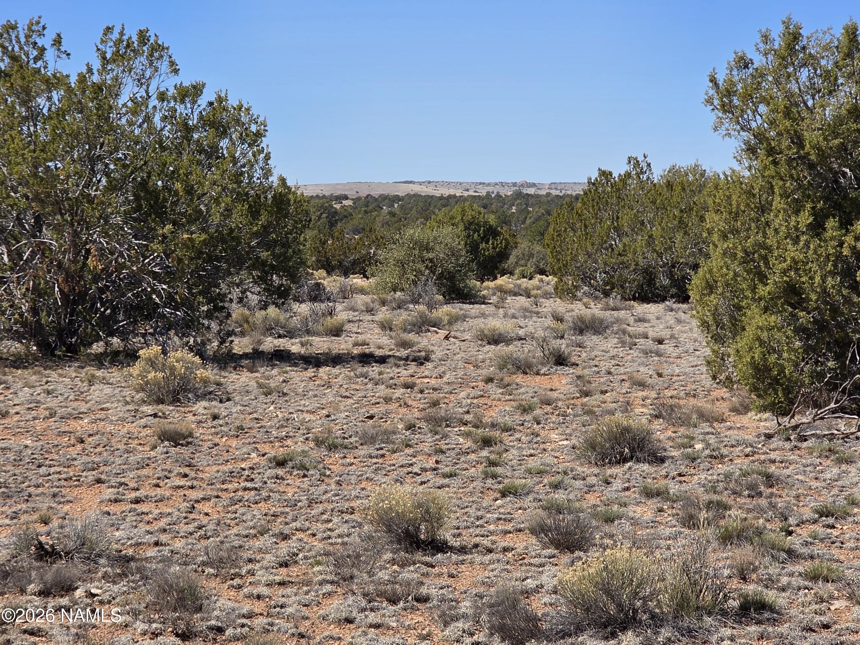 8299 West Clear Fork Loop Williams, AZ 86046 - Photo 14 of 27 1000060644