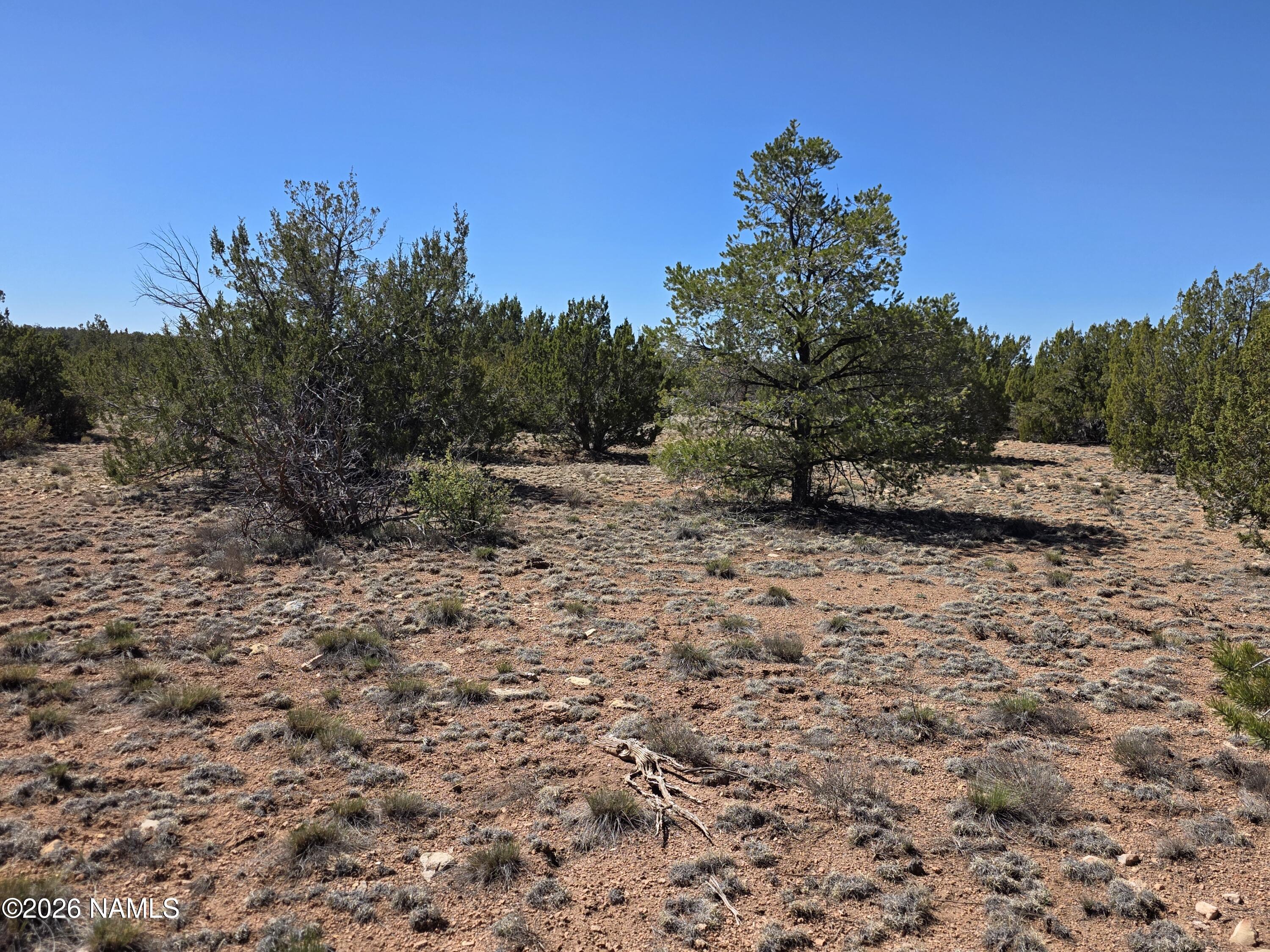 8299 West Clear Fork Loop Williams, AZ 86046 - Photo 15 of 27 1000060643