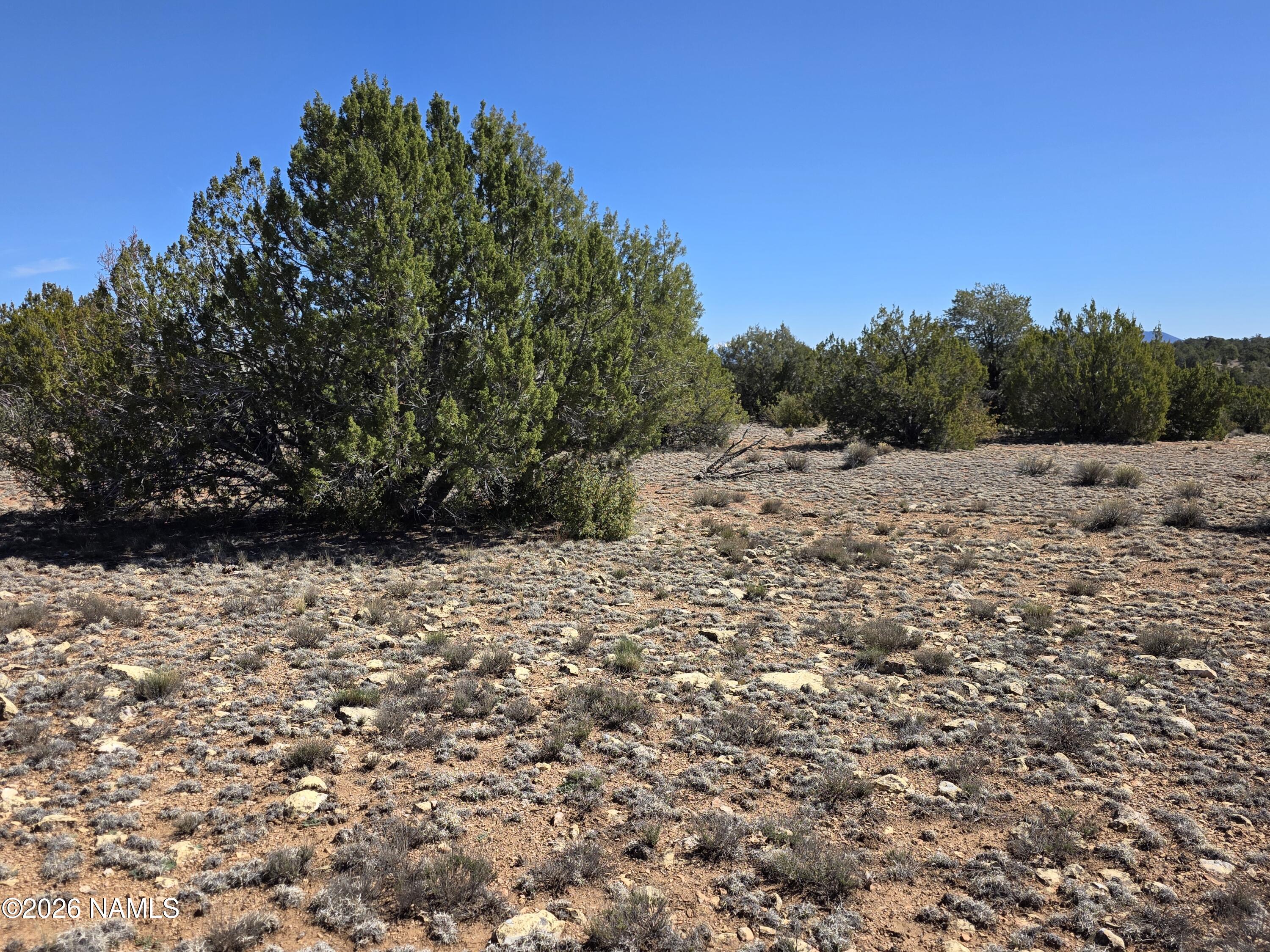 8299 West Clear Fork Loop Williams, AZ 86046 - Photo 16 of 27 1000060640