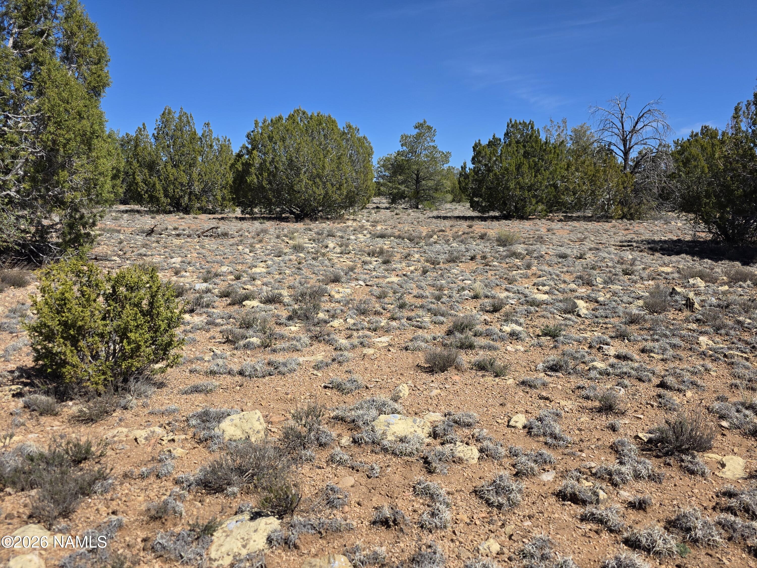 8299 West Clear Fork Loop Williams, AZ 86046 - Photo 17 of 27 1000060641