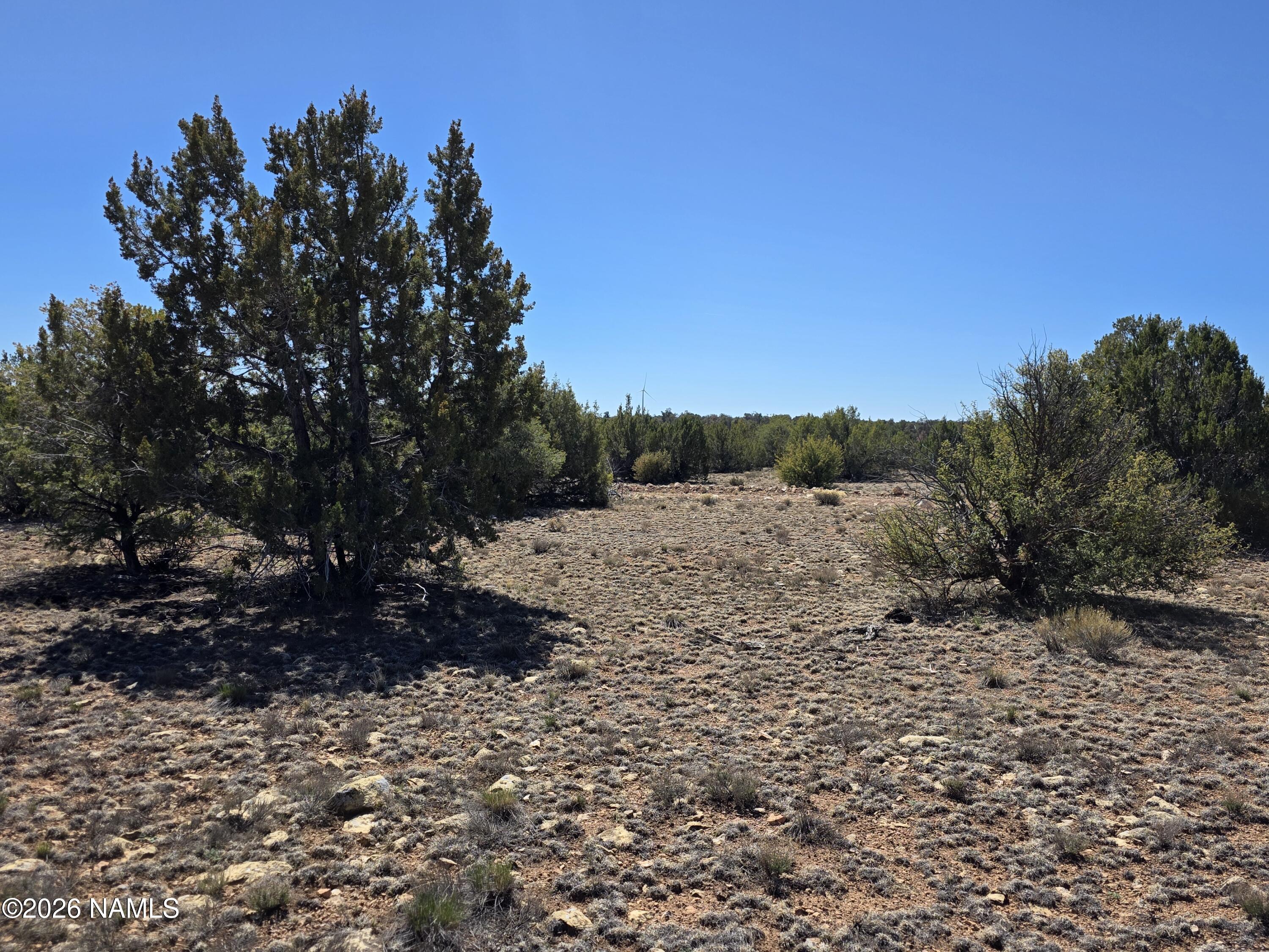 8299 West Clear Fork Loop Williams, AZ 86046 - Photo 19 of 27 1000060642