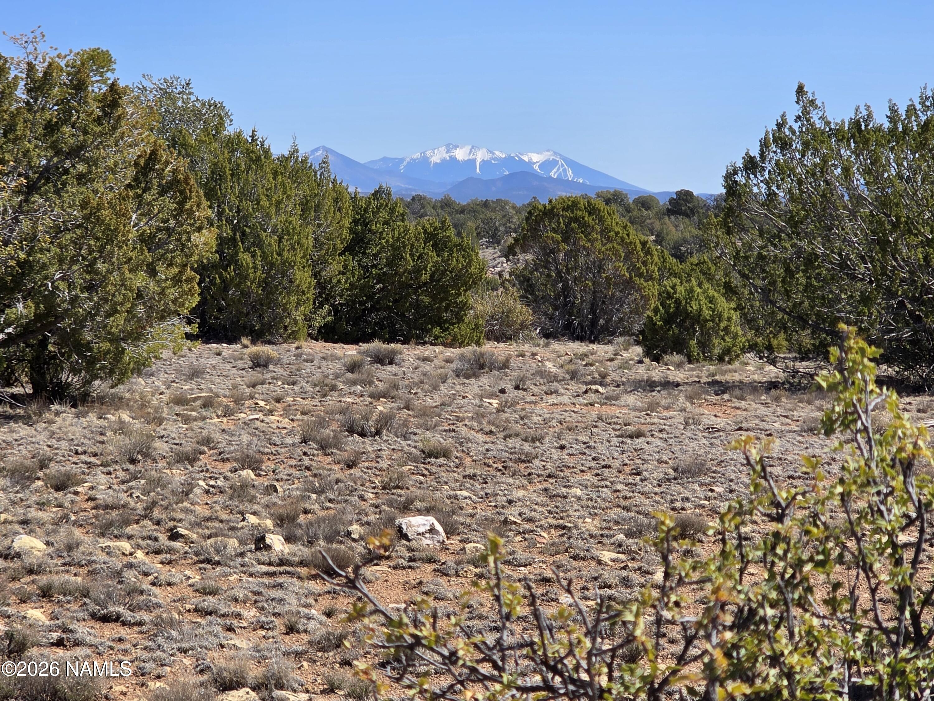 8299 West Clear Fork Loop Williams, AZ 86046 - Photo 20 of 27 1000060639