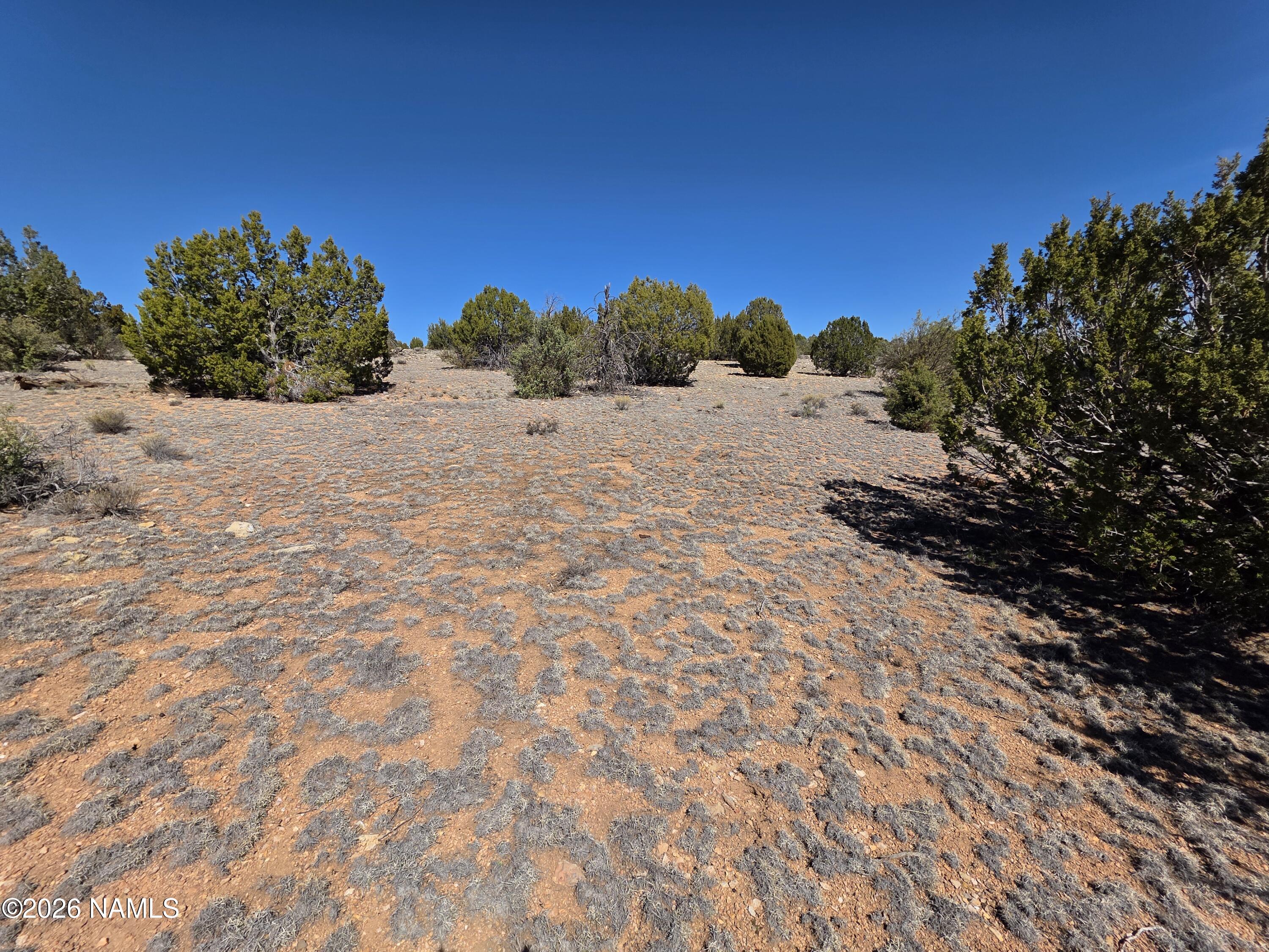 8299 West Clear Fork Loop Williams, AZ 86046 - Photo 2 of 27 1000060658