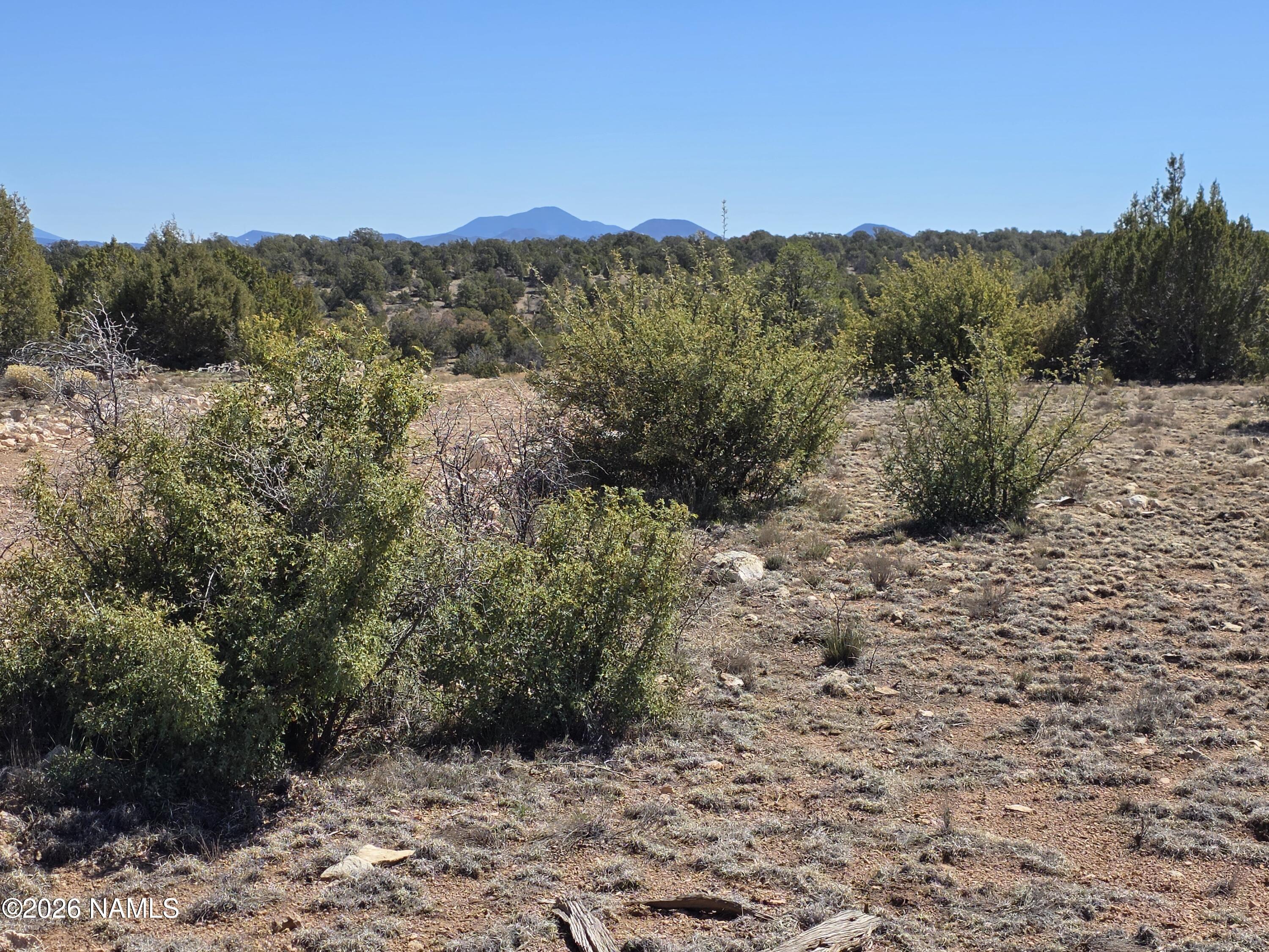 8299 West Clear Fork Loop Williams, AZ 86046 - Photo 21 of 27 1000060638