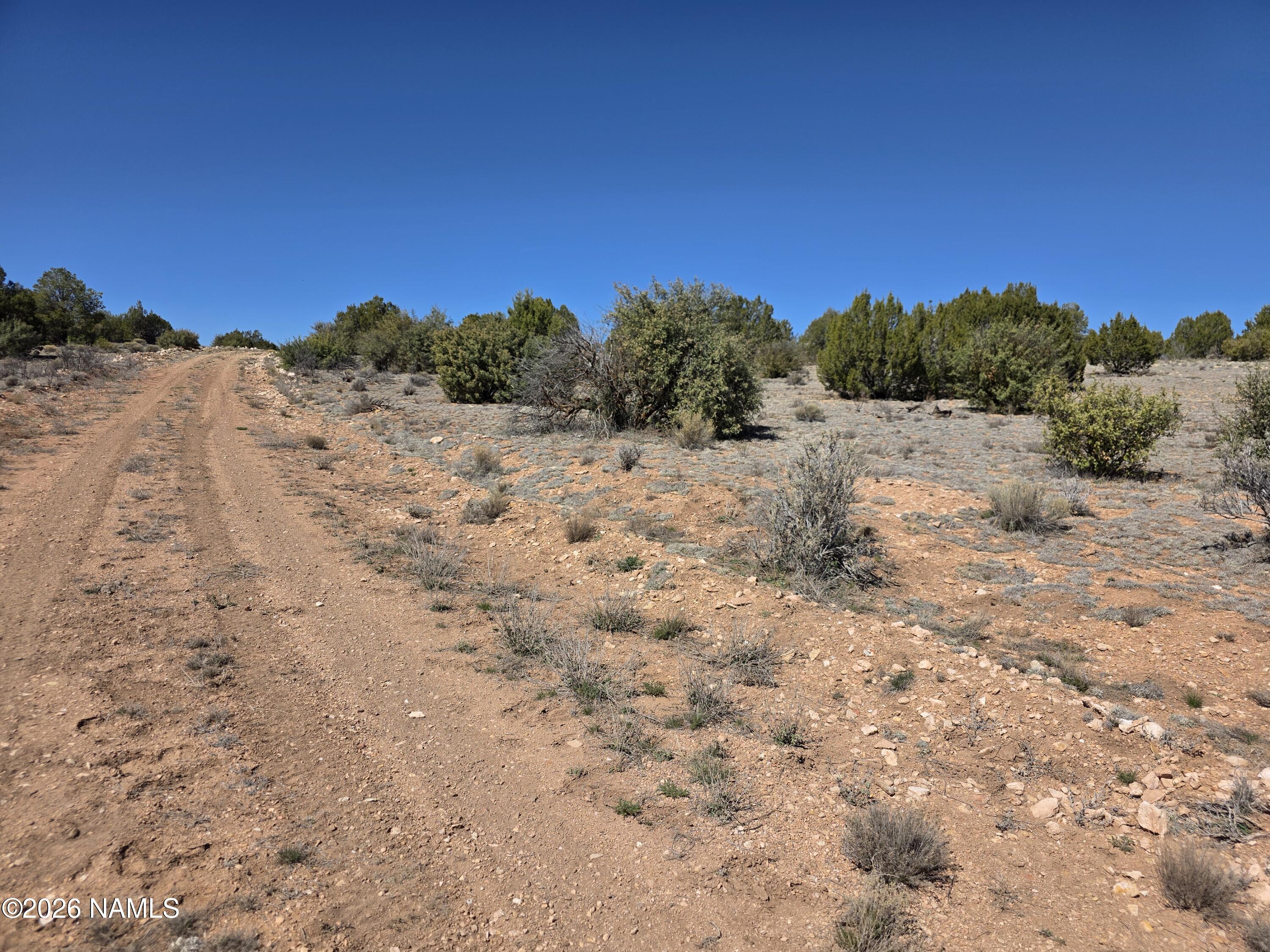 8299 West Clear Fork Loop Williams, AZ 86046 - Photo 22 of 27 1000060659