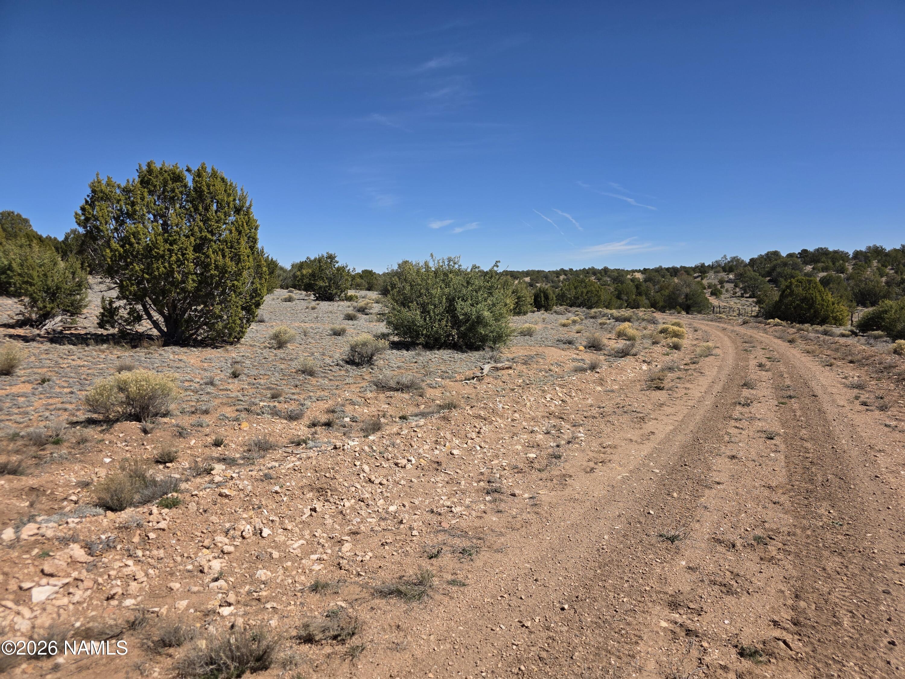 8299 West Clear Fork Loop Williams, AZ 86046 - Photo 23 of 27 1000060660