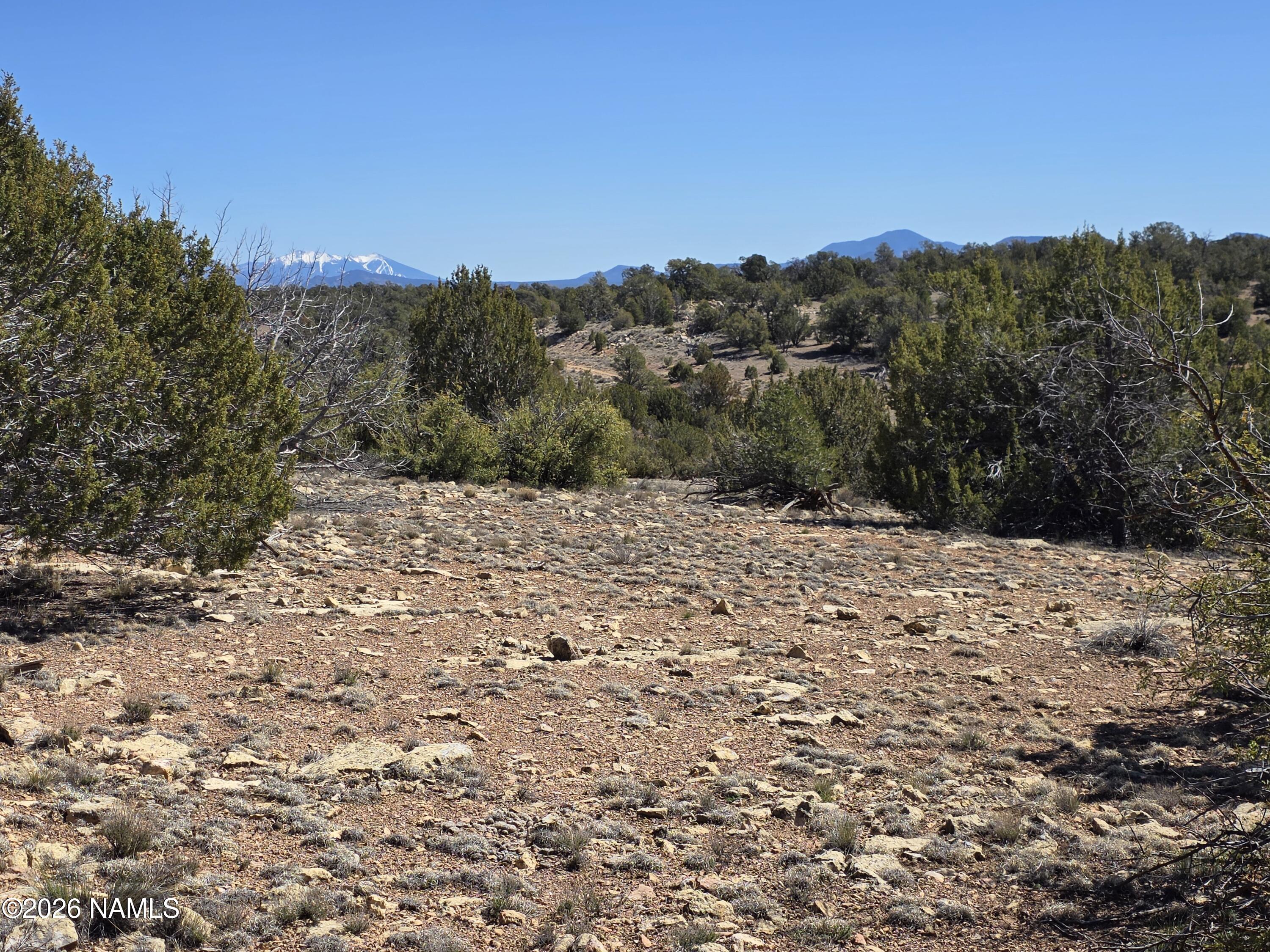 8299 West Clear Fork Loop Williams, AZ 86046 - Photo 3 of 27 1000060656