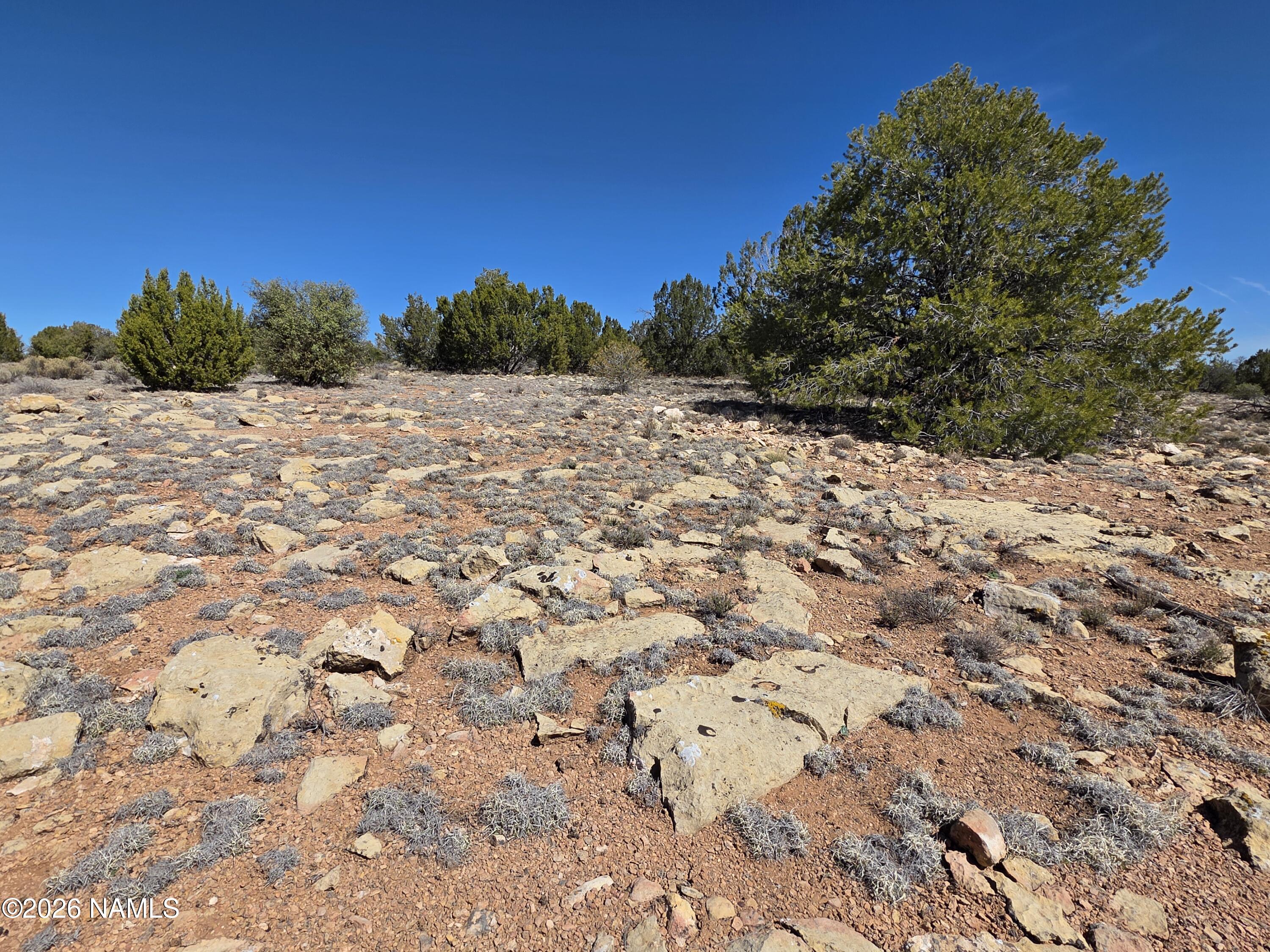 8299 West Clear Fork Loop Williams, AZ 86046 - Photo 4 of 27 1000060655