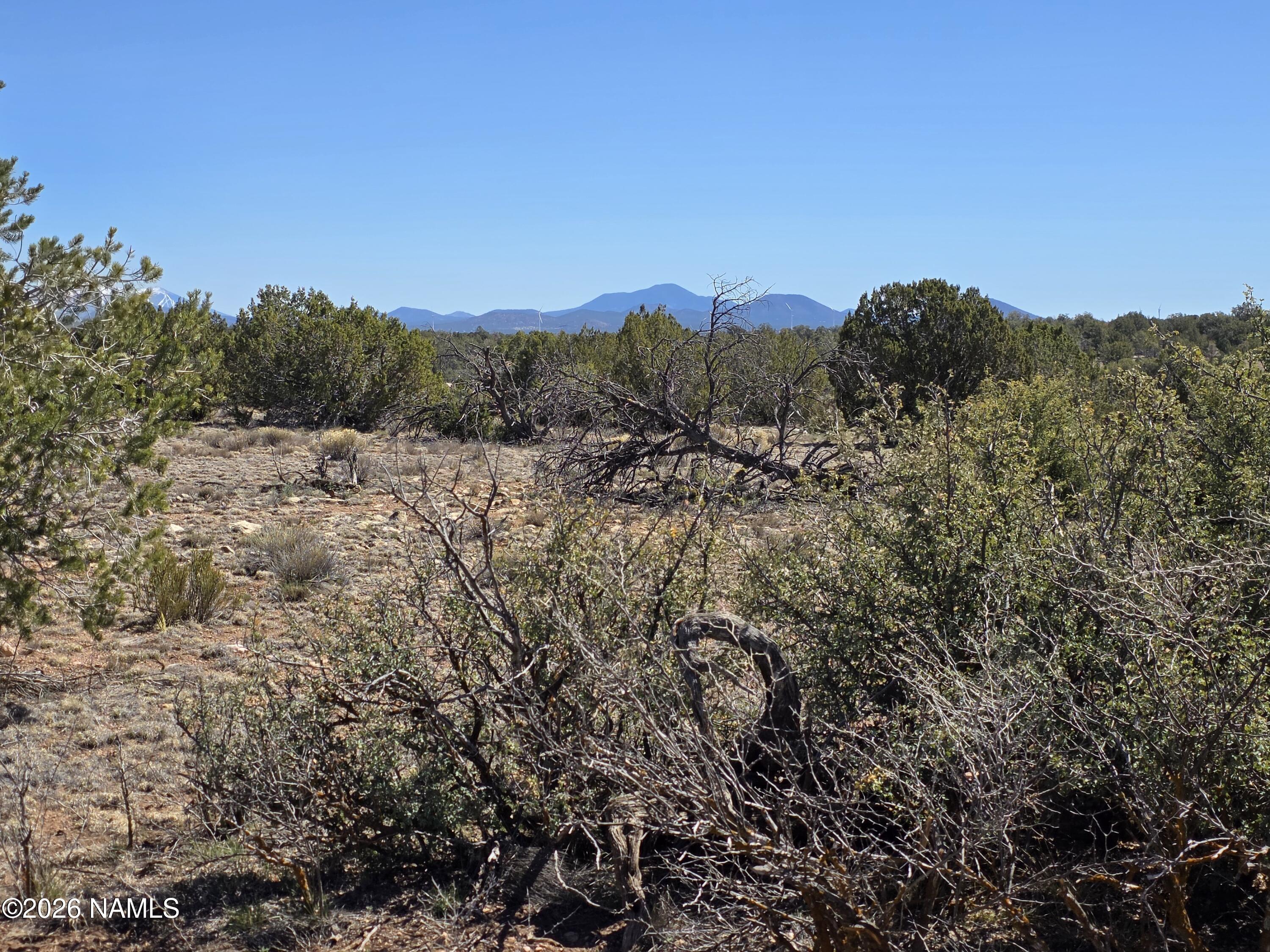 8299 West Clear Fork Loop Williams, AZ 86046 - Photo 5 of 27 1000060652