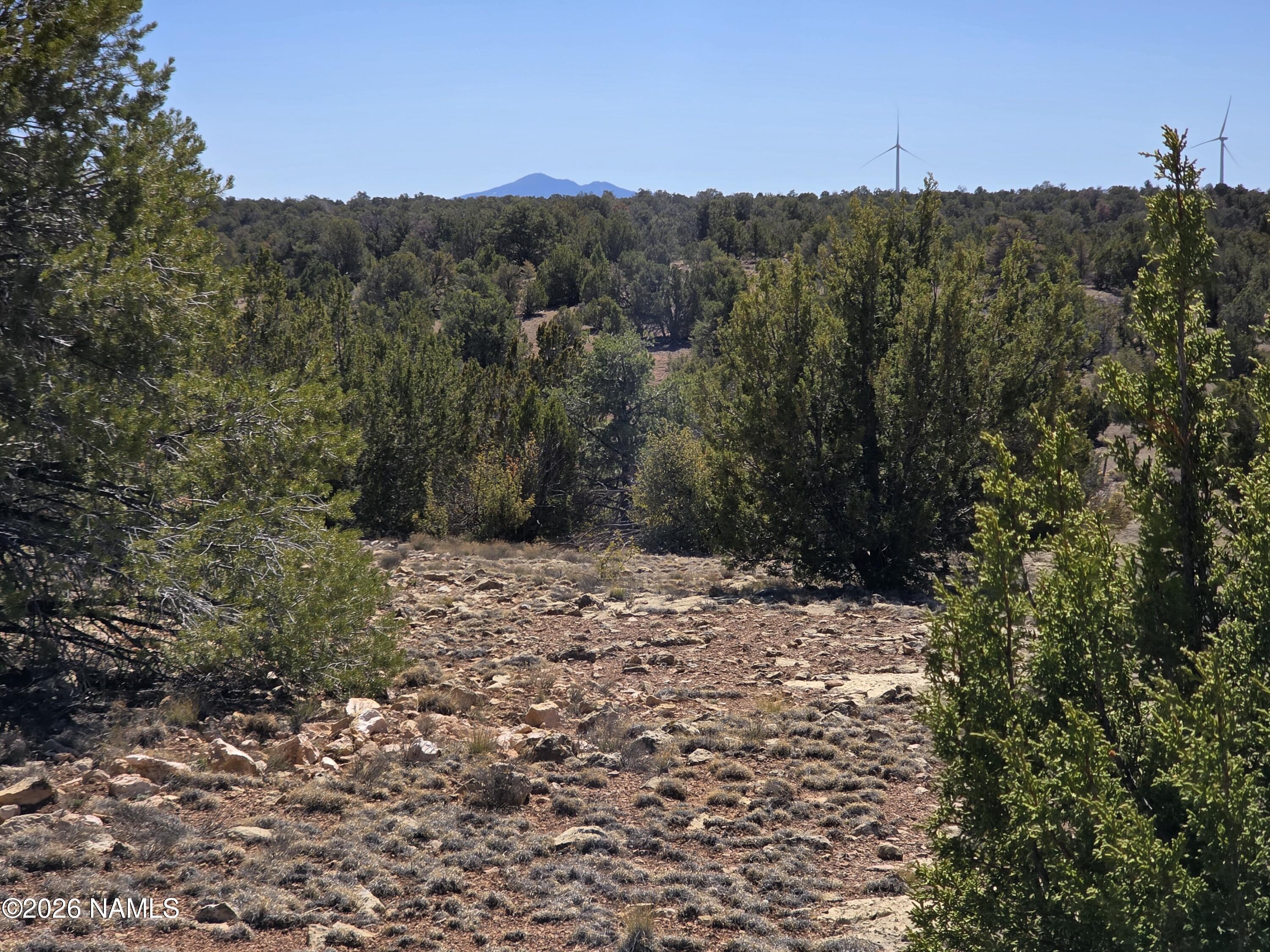 8299 West Clear Fork Loop Williams, AZ 86046 - Photo 6 of 27 1000060654