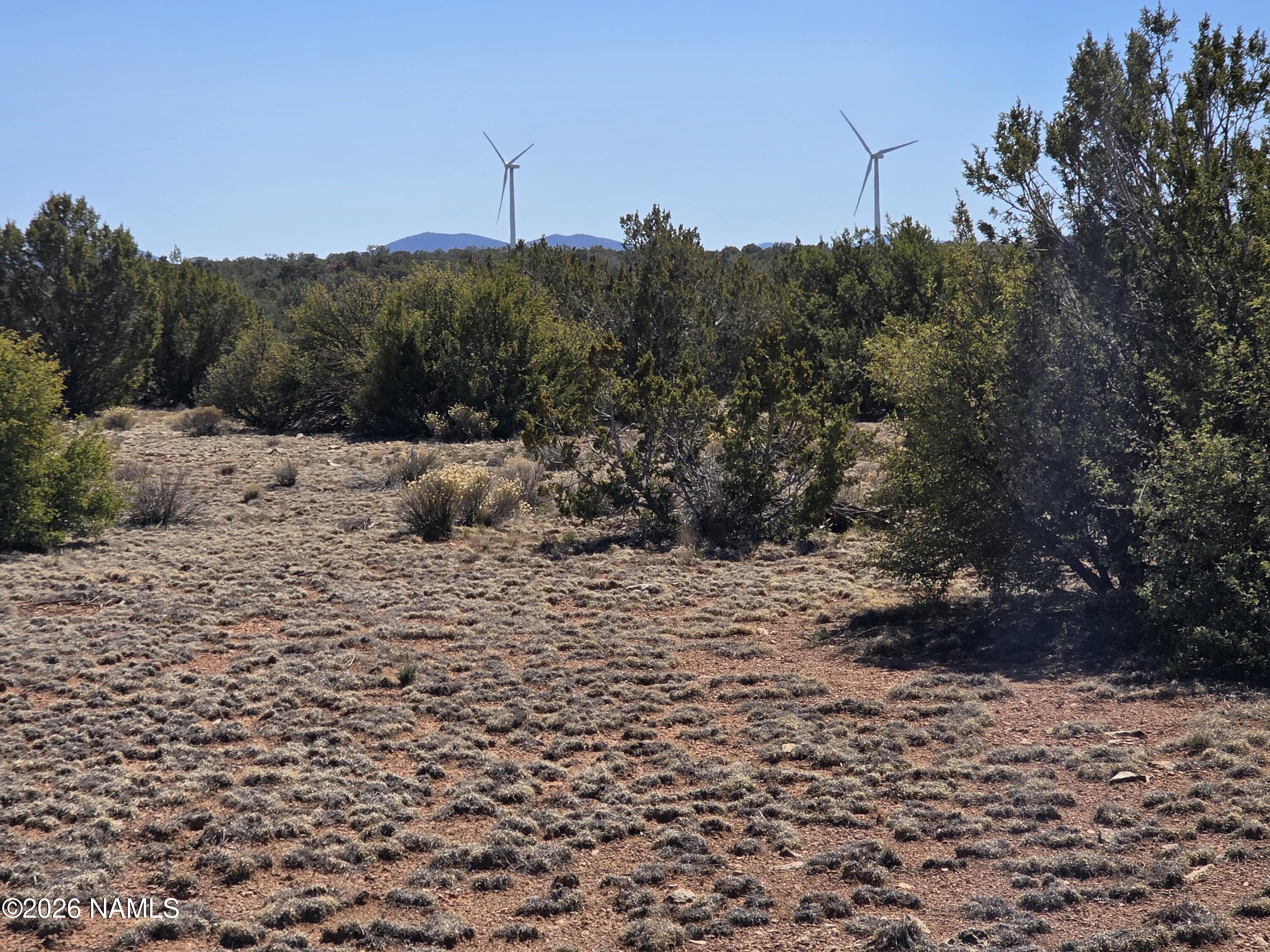 8299 West Clear Fork Loop Williams, AZ 86046 - Photo 7 of 27 1000060648