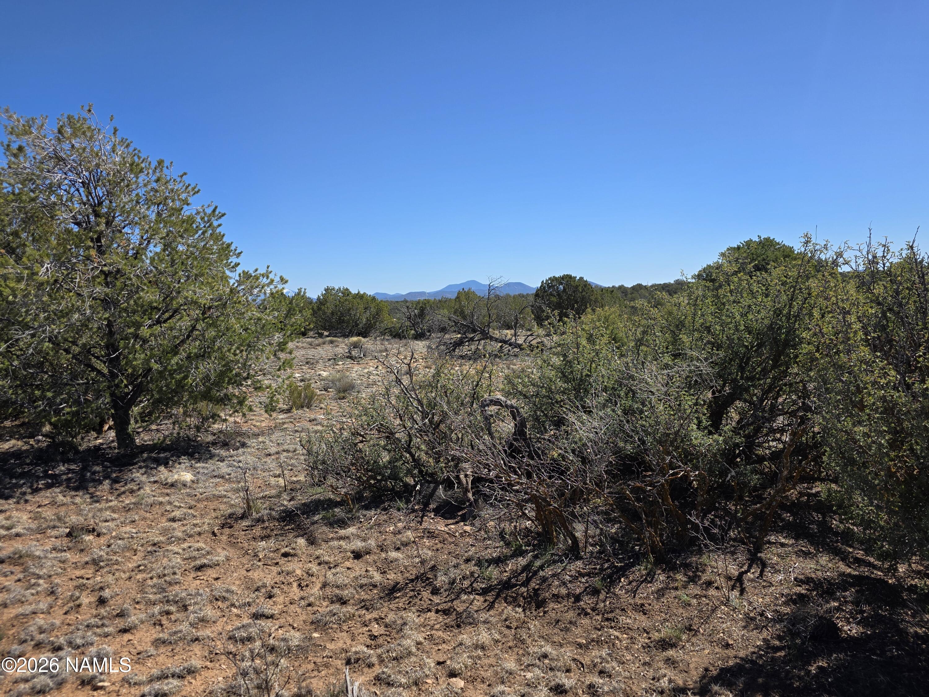 8299 West Clear Fork Loop Williams, AZ 86046 - Photo 8 of 27 1000060651