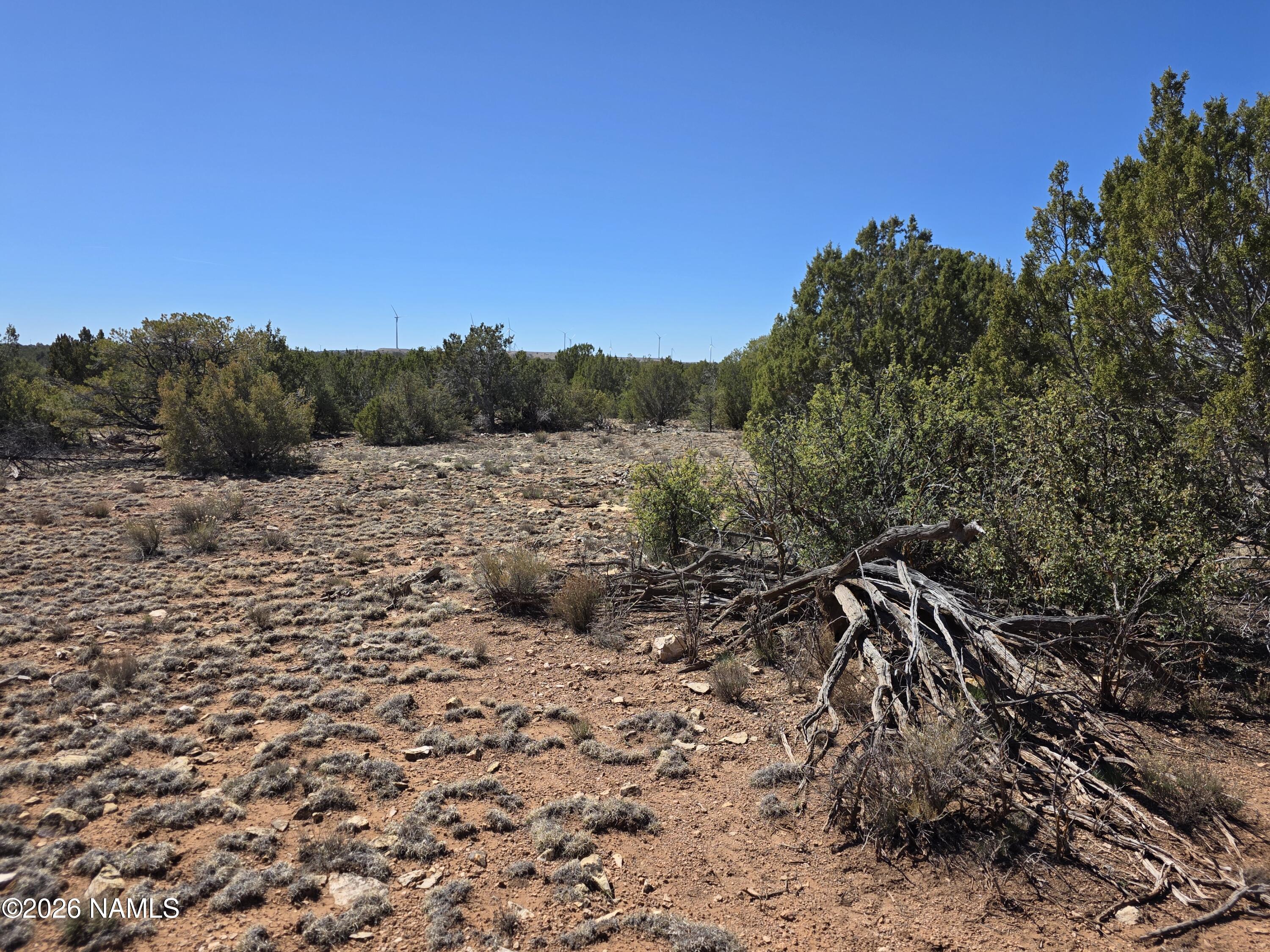 8299 West Clear Fork Loop Williams, AZ 86046 - Photo 9 of 27 1000060650