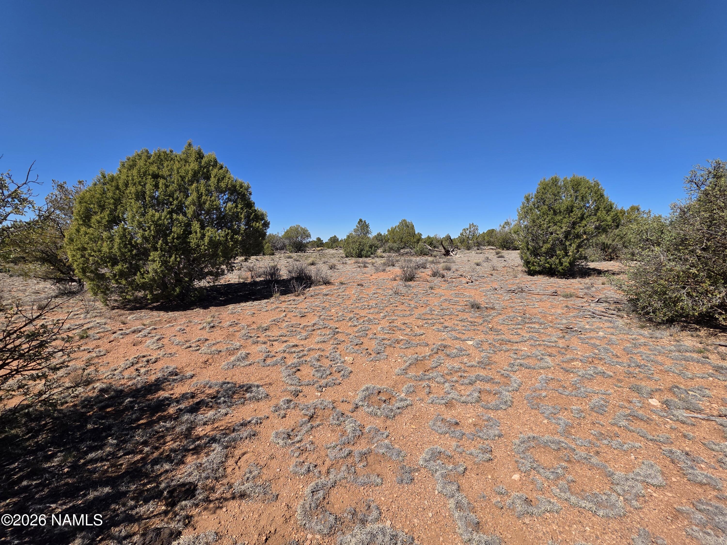 8299 West Clear Fork Loop Williams, AZ 86046 - Photo 10 of 27 1000060649