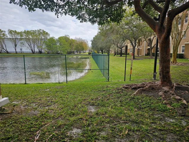 a view of a park with large trees