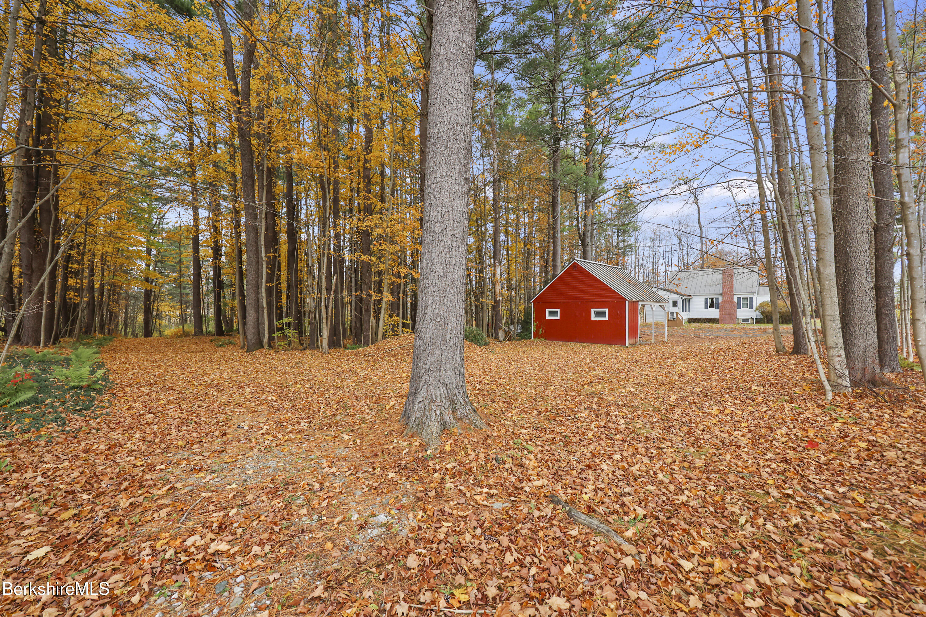 1772 Swamp Road Richmond, MA 01254 - Photo 47 of 56 295 Back Yard