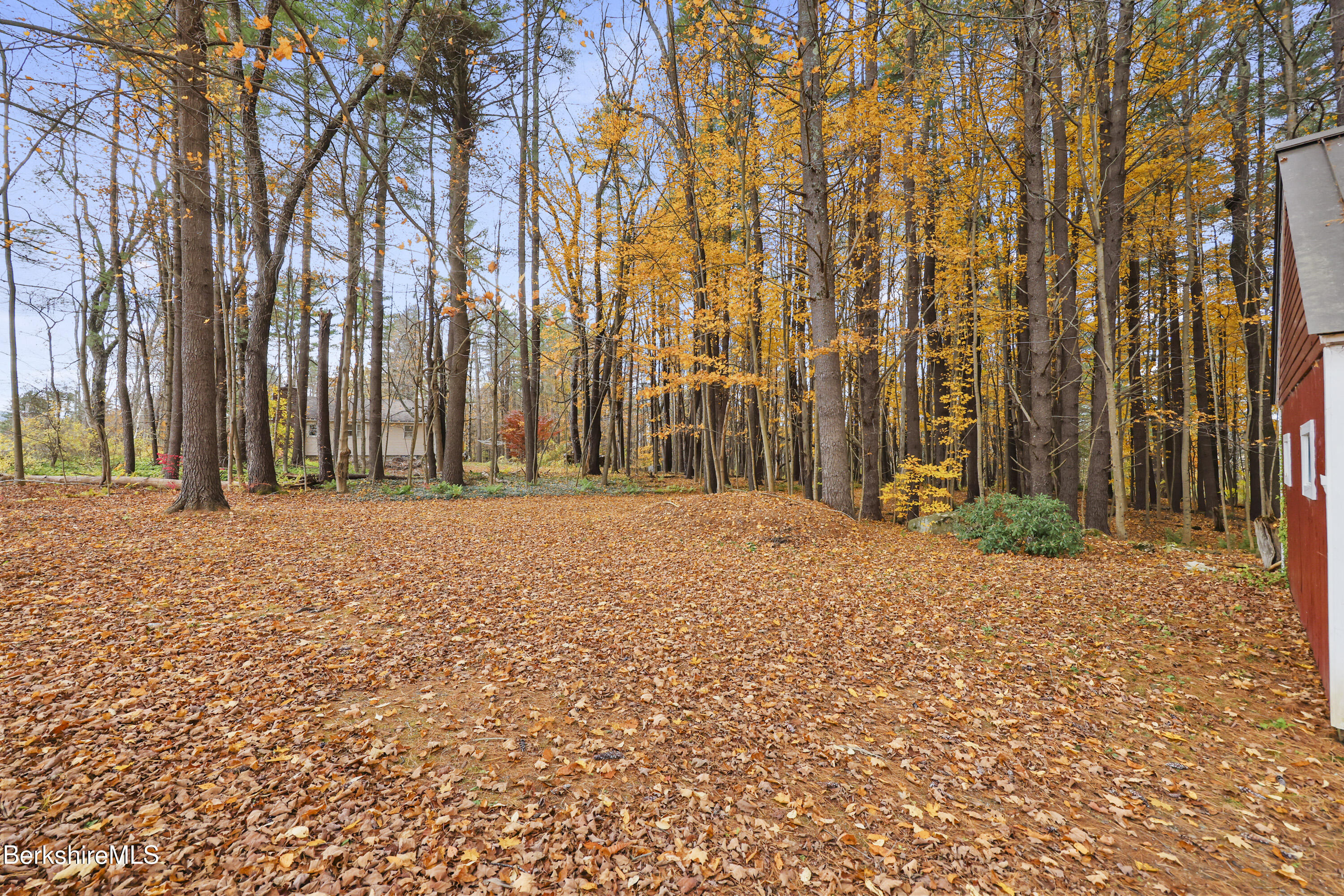 1772 Swamp Road Richmond, MA 01254 - Photo 48 of 56 290 Back Yard