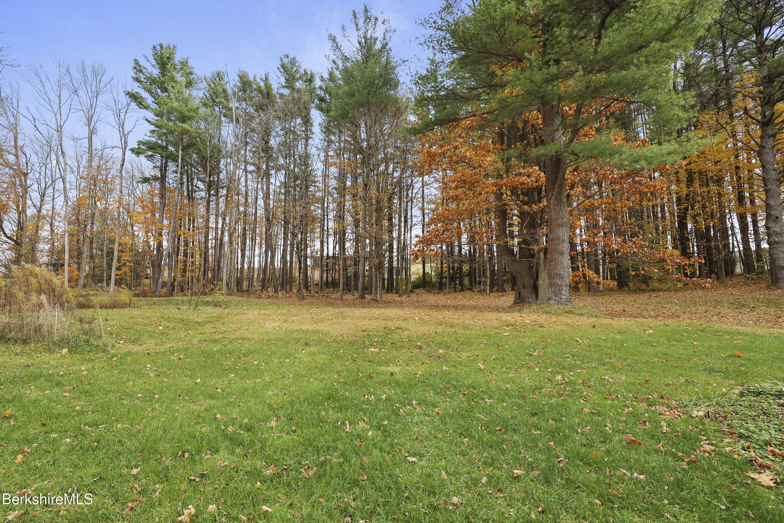 1772 Swamp Road Richmond, MA 01254 - Photo 51 of 56 270 Back Yard