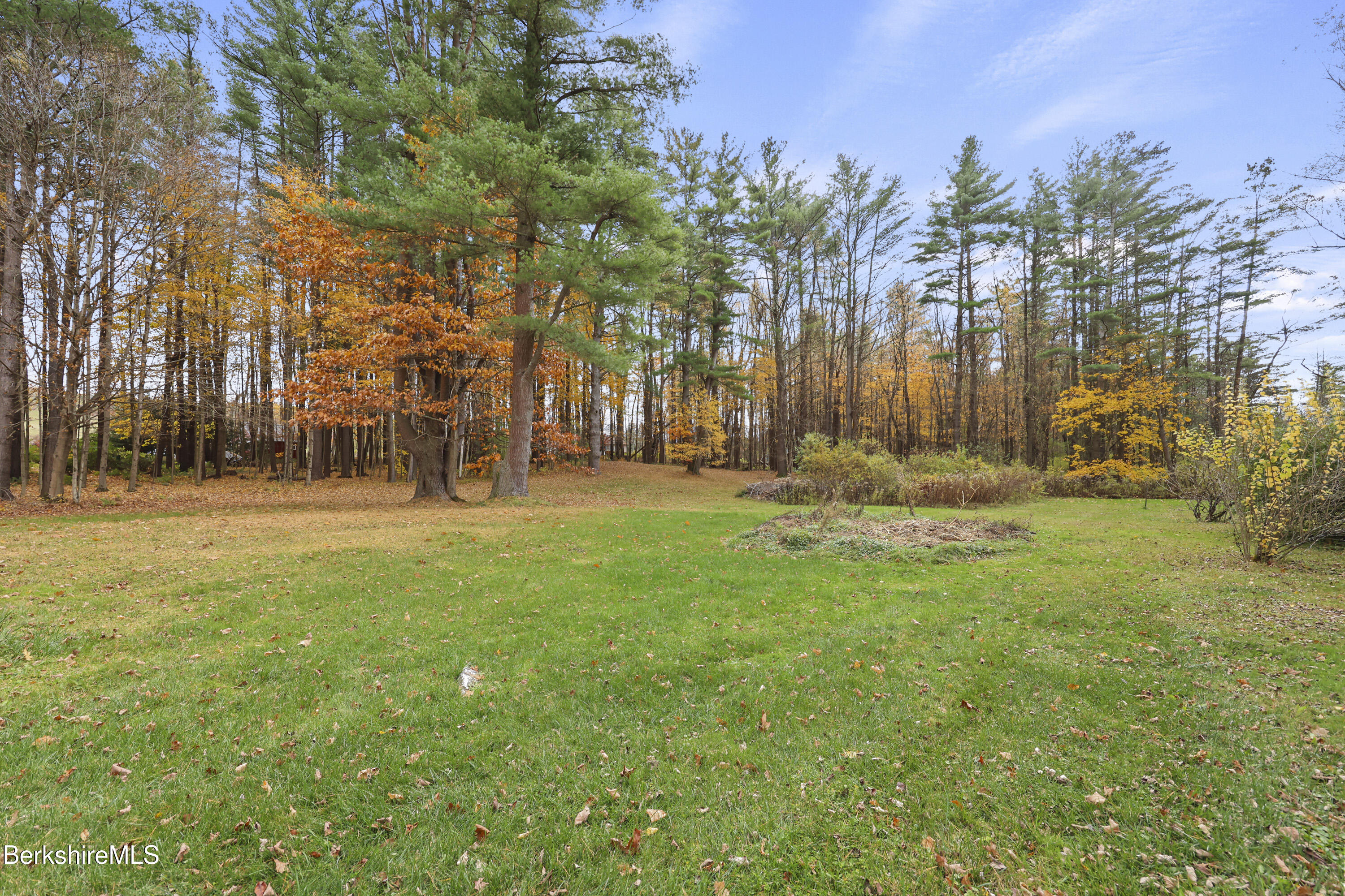 1772 Swamp Road Richmond, MA 01254 - Photo 52 of 56 265 Back Yard