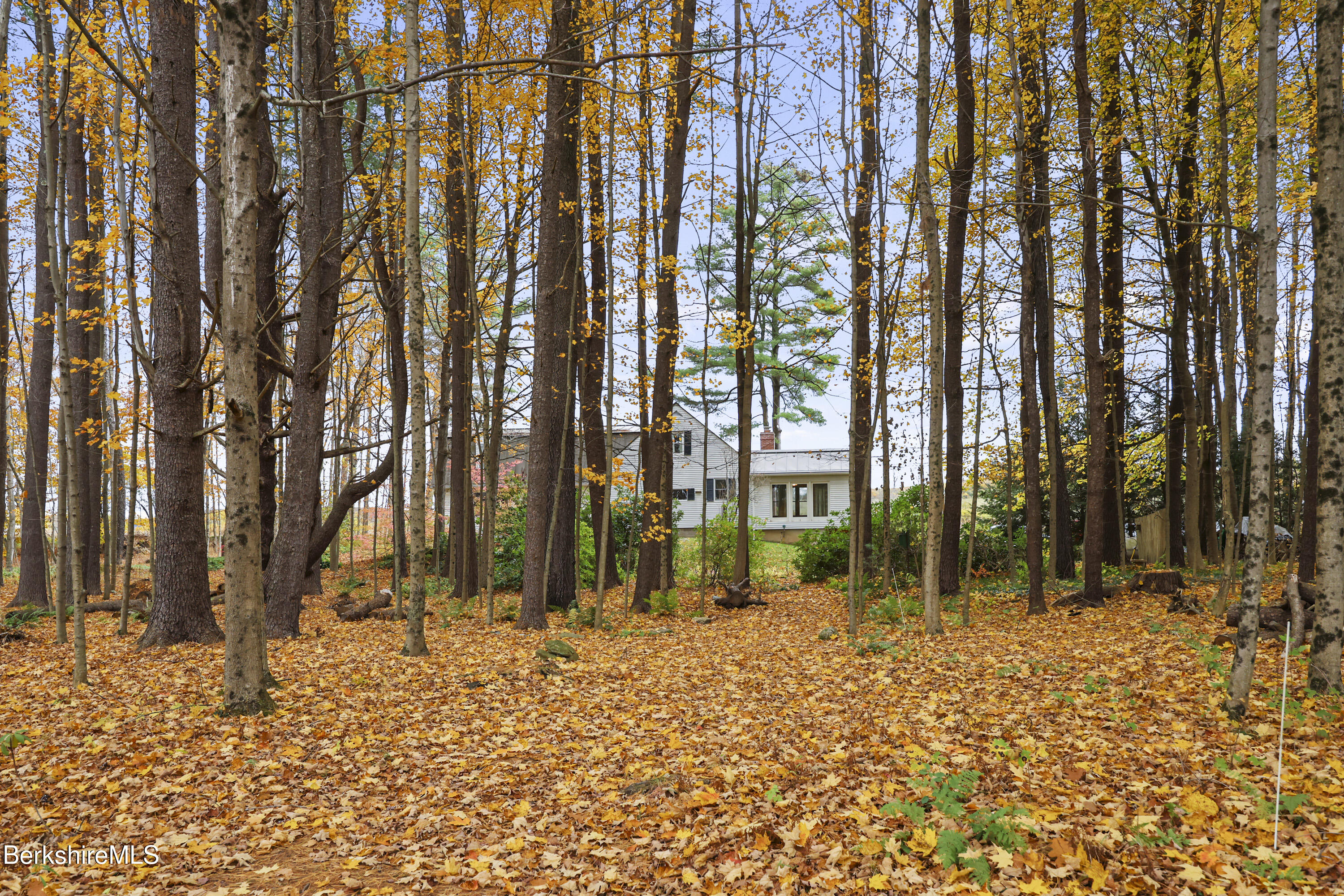 1772 Swamp Road Richmond, MA 01254 - Photo 55 of 62 a backyard of a house with lots of green space