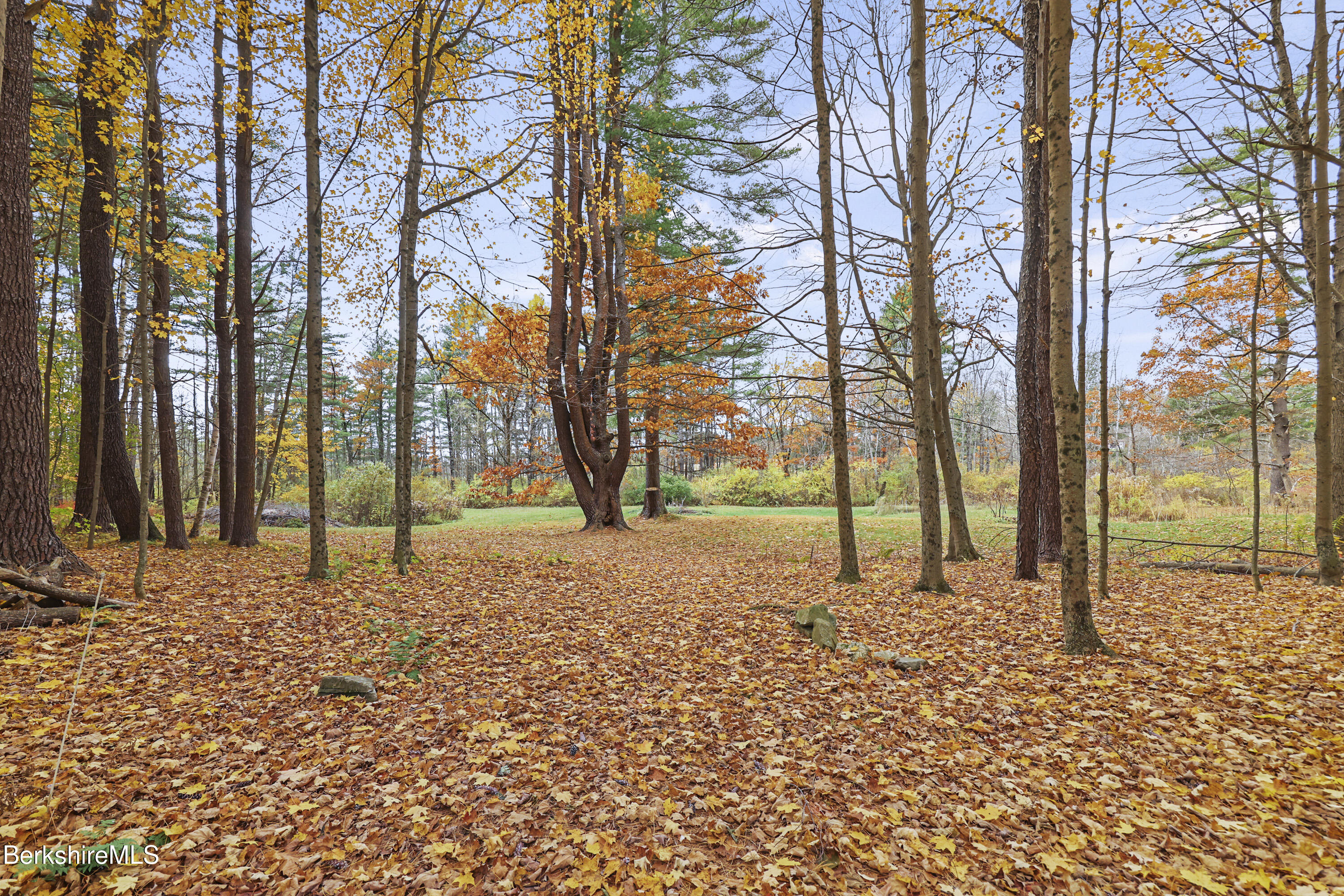1772 Swamp Road Richmond, MA 01254 - Photo 59 of 62 a house with trees in front of it