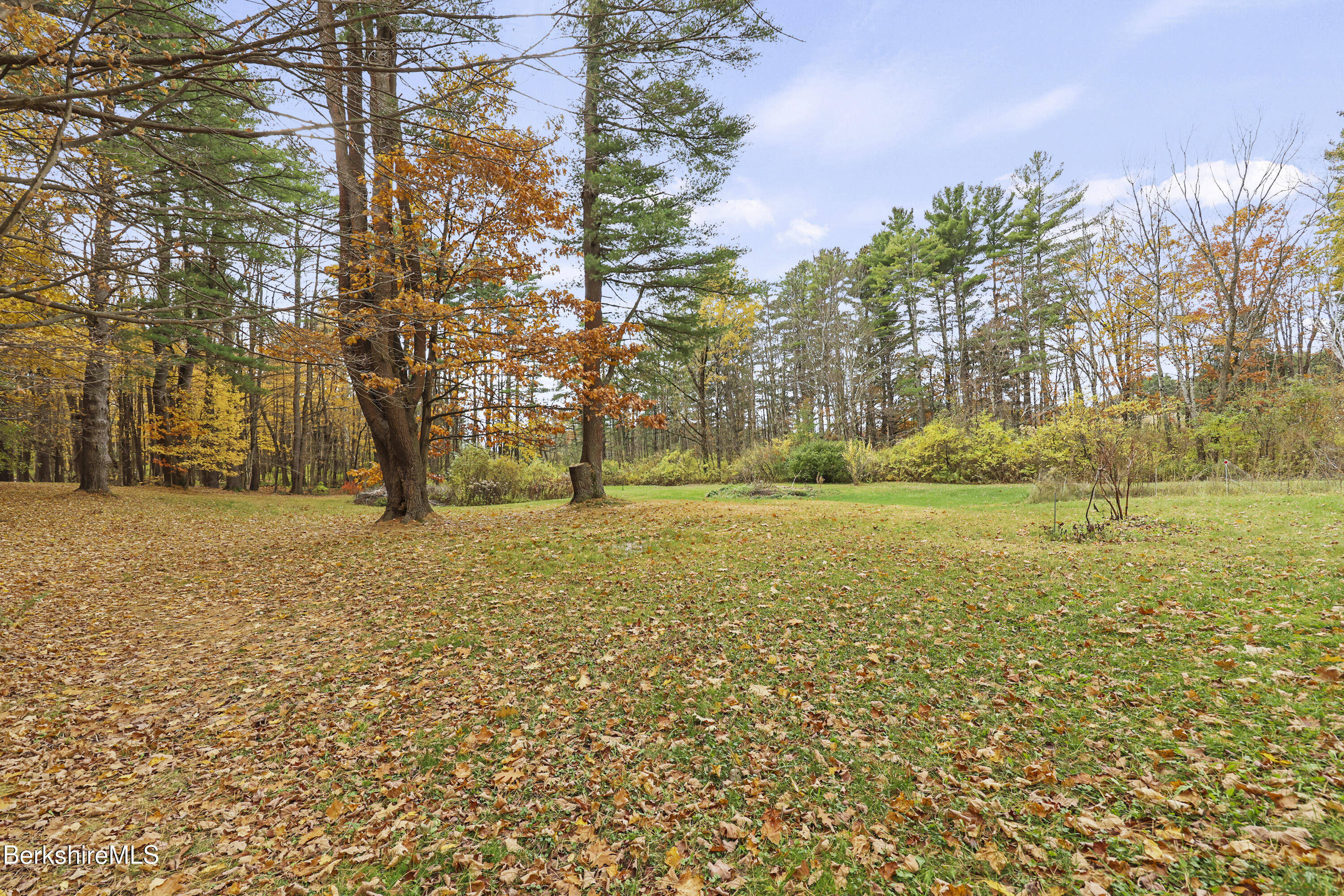 1772 Swamp Road Richmond, MA 01254 - Photo 7 of 62 a view of yard with trees