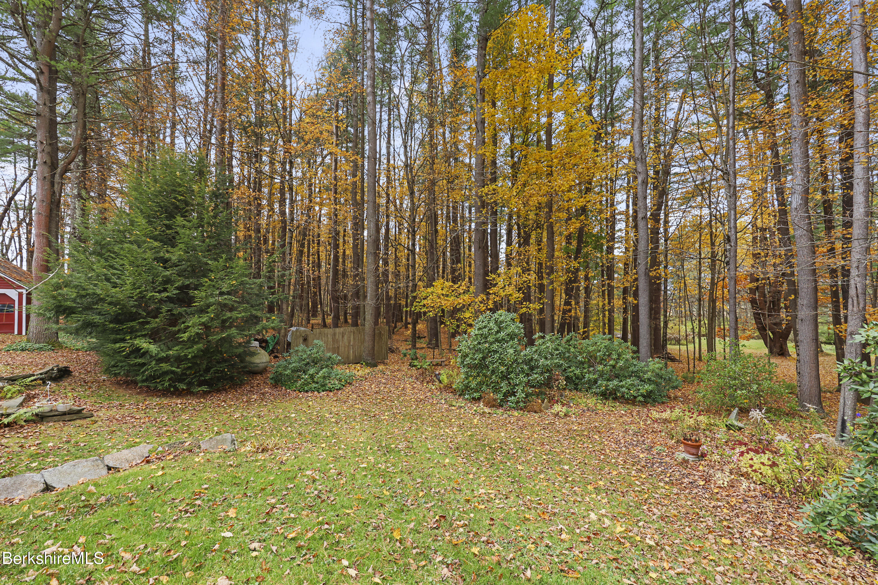 1772 Swamp Road Richmond, MA 01254 - Photo 8 of 62 a view of backyard with green space