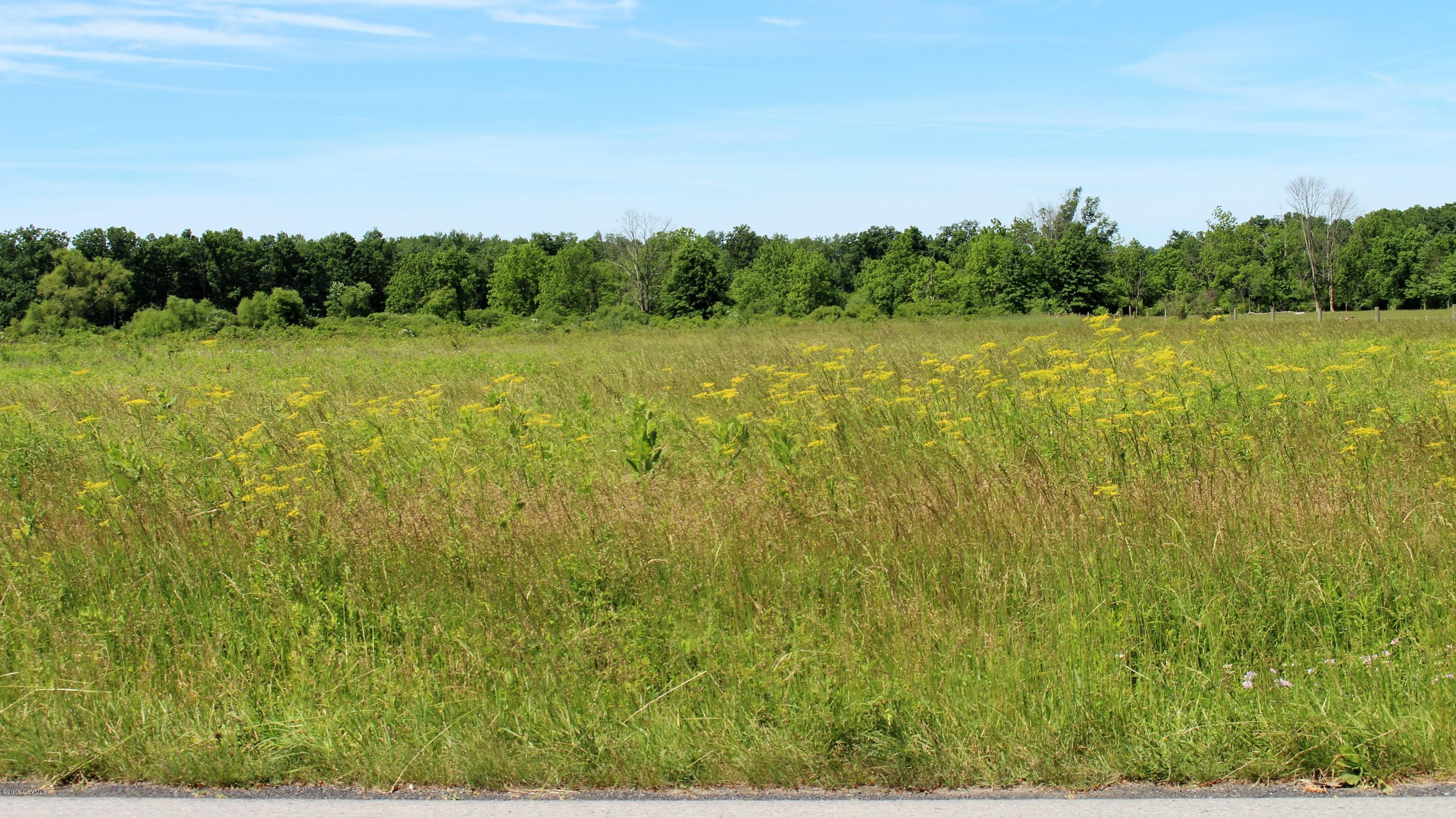 Steffens Road Danville, PA 17821 - Photo 1 of 1 Gallery Image 1