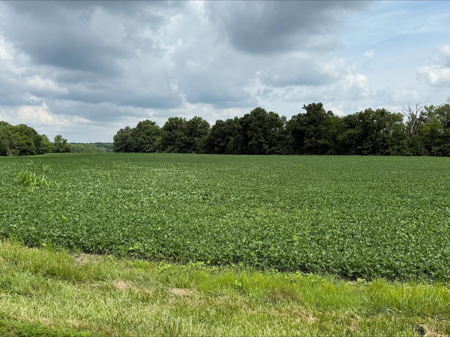 0 McCafferty Road Fayetteville, OH 45118 - Photo 2 of 6