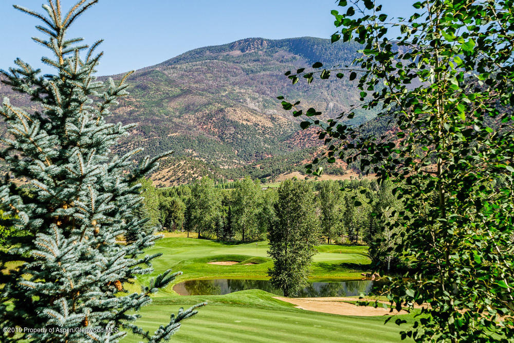 43 Altamira Ranch Road Basalt, CO 81621 - Photo 28 of 29 a view of a yard