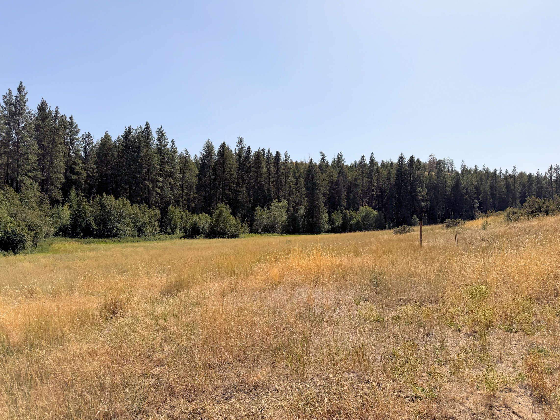 1 East Miles Creston Road Creston, WA 99117 - Photo 7 of 9 Gallery Image 7