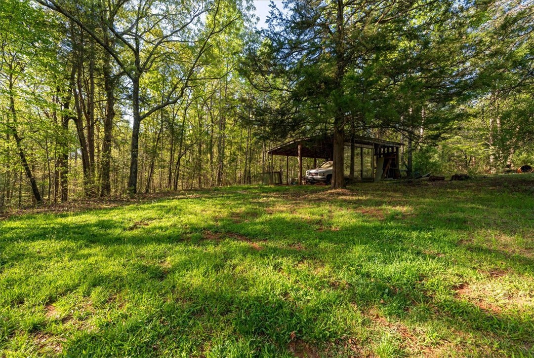 930 Nimmons Bridge Road Salem, SC 29676 - Photo 12 of 19 This verdant expanse offers tranquil, secluded living amidst a backdrop of lush foliage.