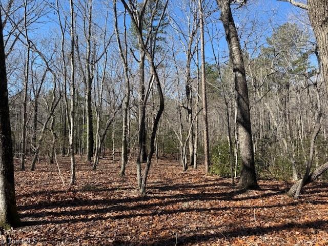 0 Thayer Road Troy, NC 27371 - Photo 2 of 5