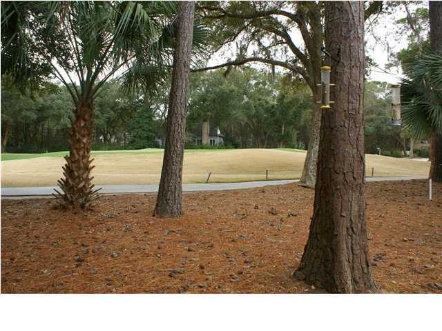 2809 Captain Sams Road Seabrook Island, SC 29455 - Photo 4 of 25 Additional Photo